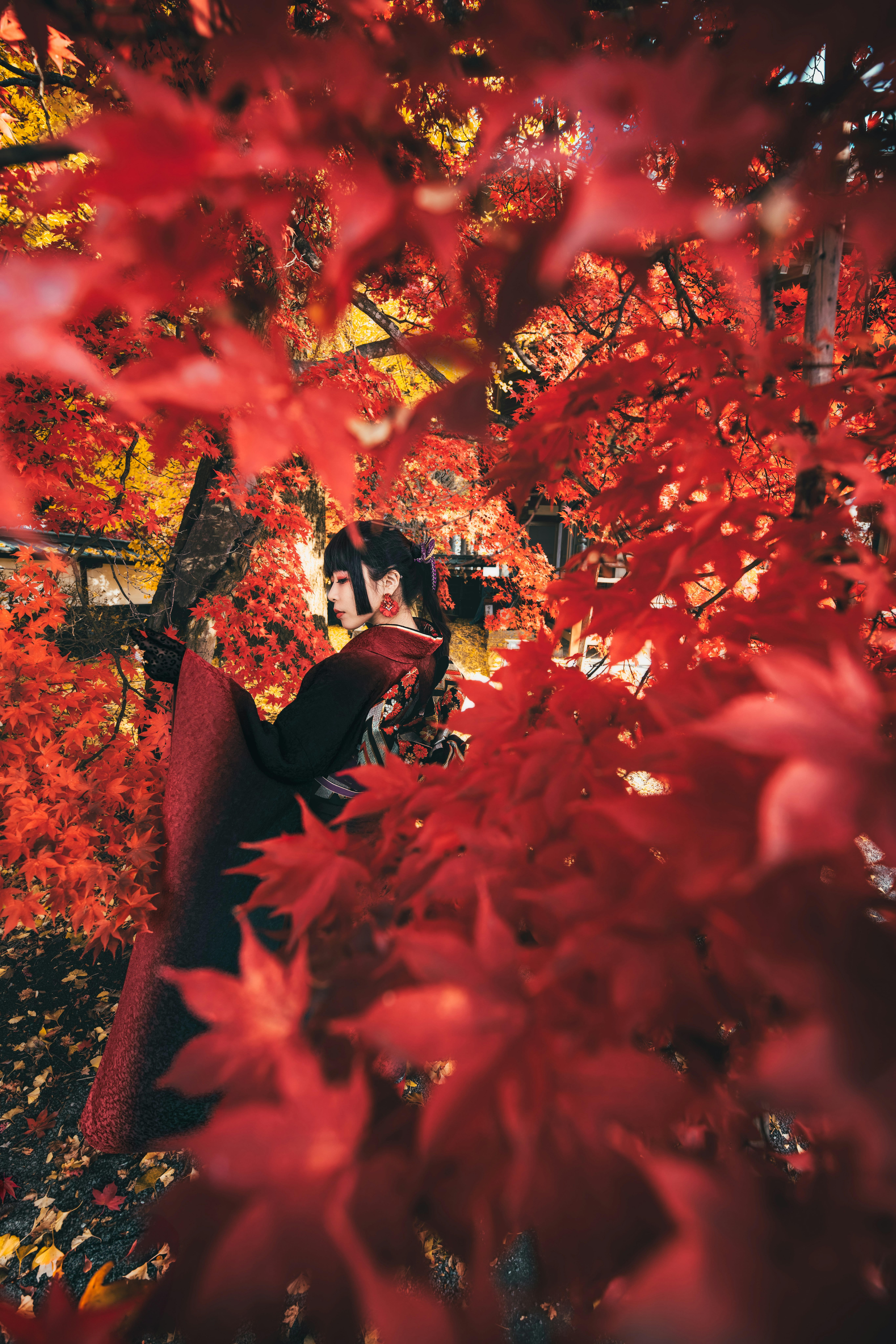 紅葉の中で傘をさす長円寺のポートレート