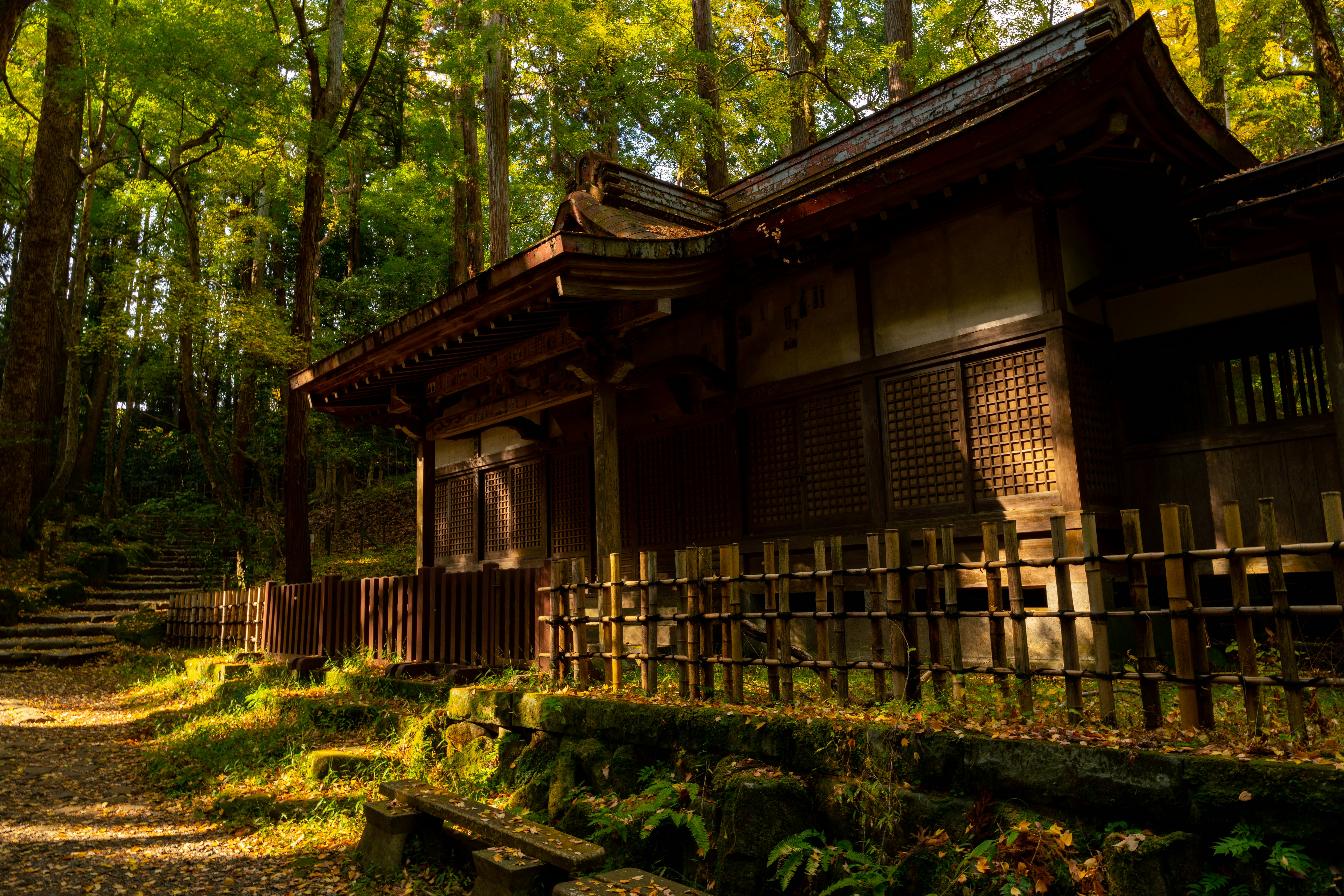 静かな森の中の伝統的な日本の建物と緑豊かな自然