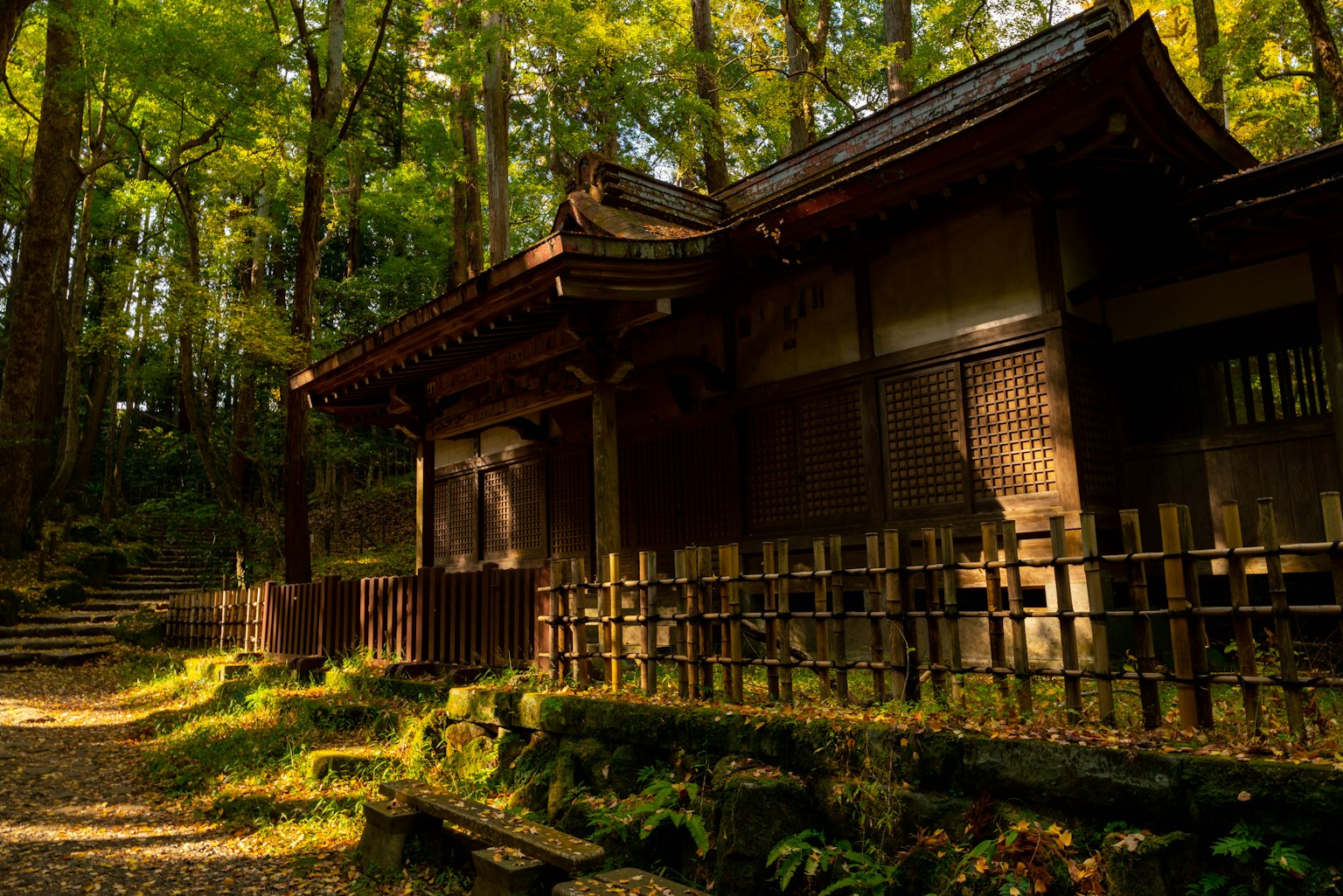 寧靜森林中的傳統日本建築與郁郁蔥蔥的綠意