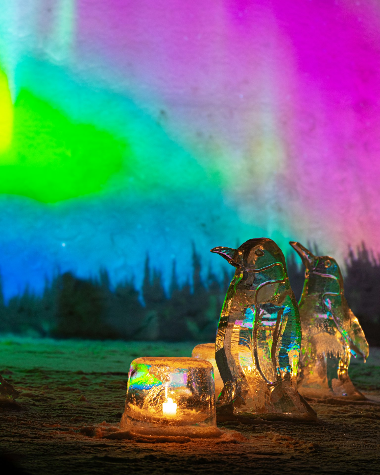 Schöne Szene mit Eis-Pinguinen und Kerzen, beleuchtet von der Aurora