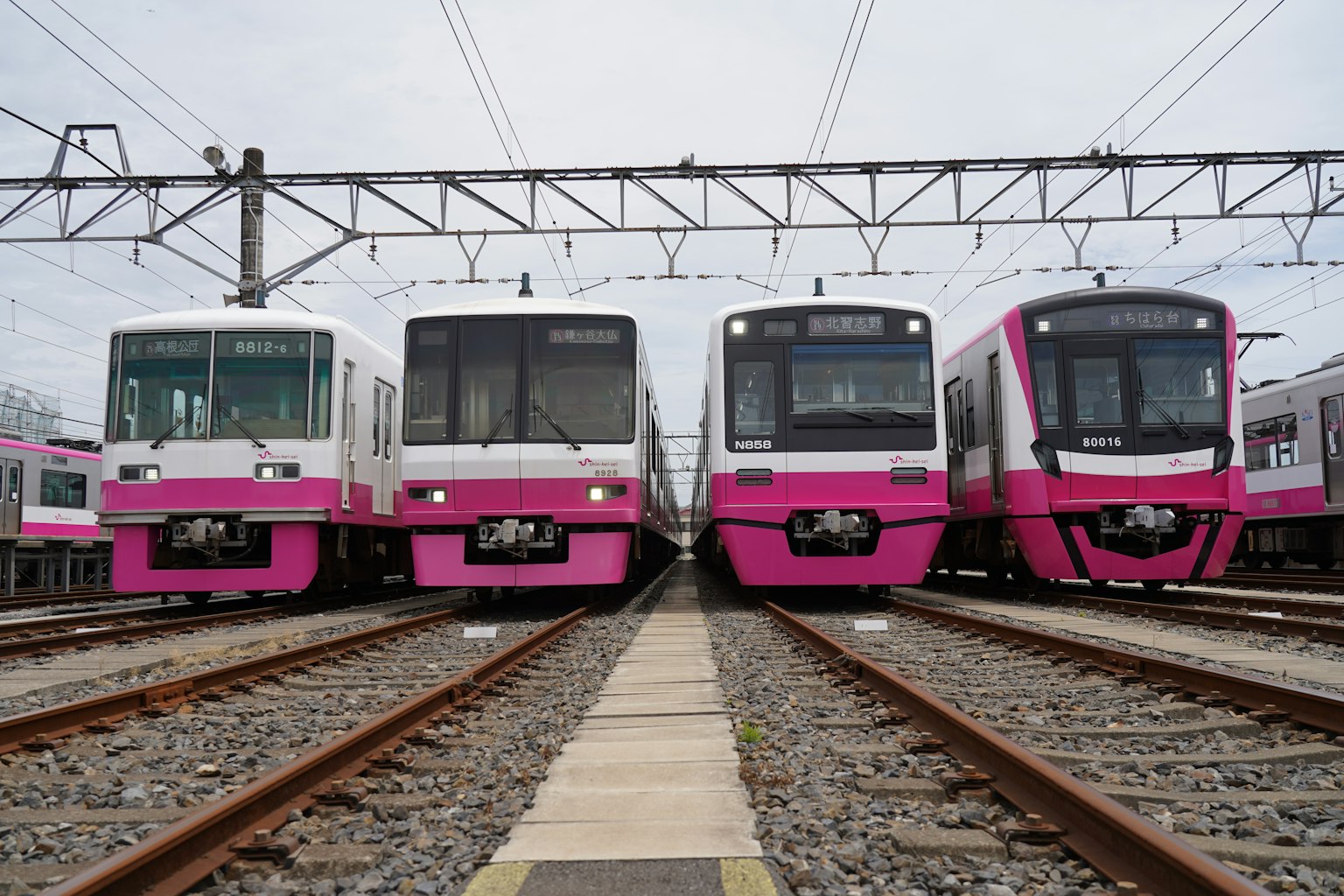 Cuatro trenes rosas alineados en las vías del tren