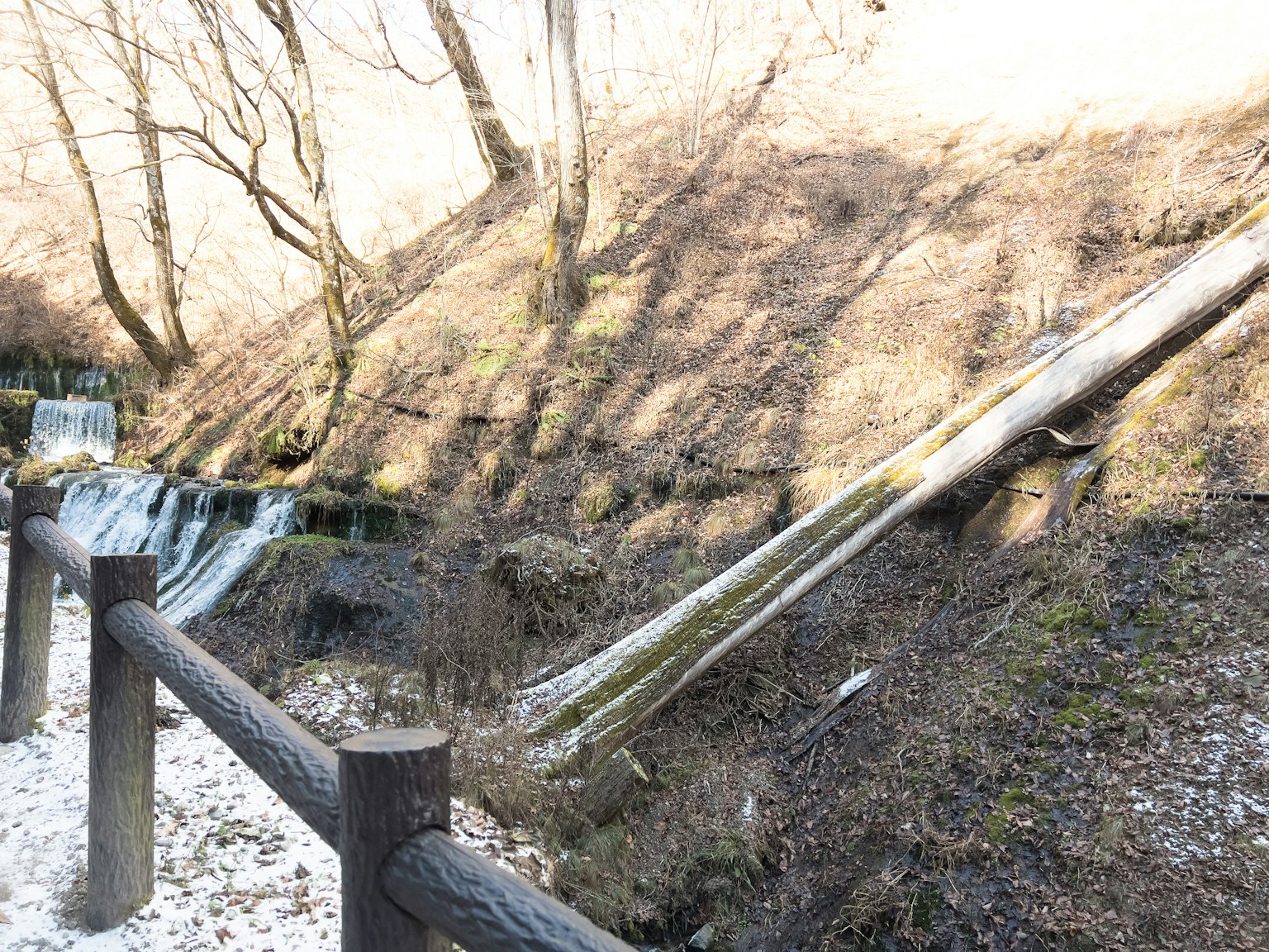 Un paisaje tranquilo con un arroyo y árboles