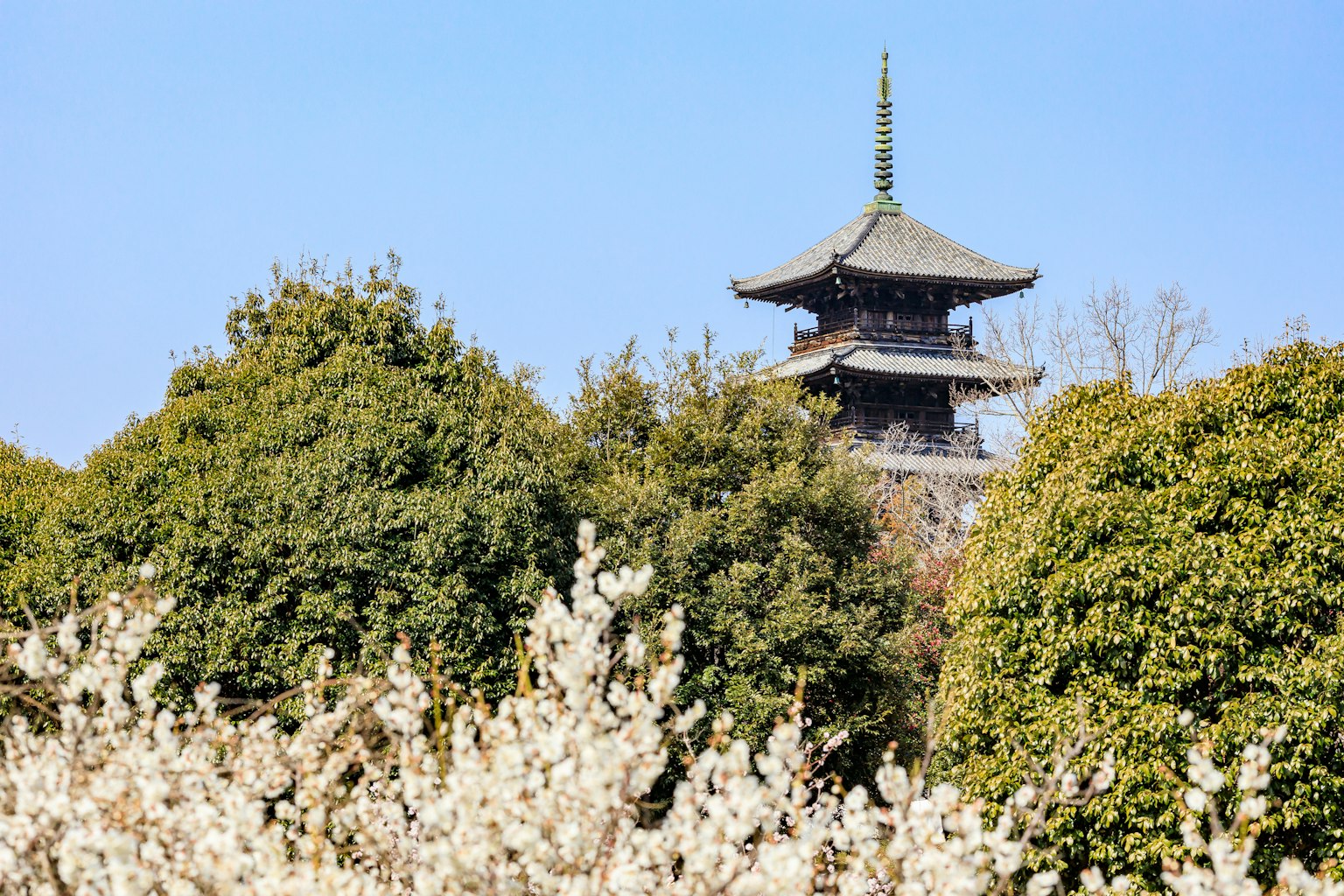 Alte japanische Pagode unter blauem Himmel umgeben von grünen Bäumen und weißen Blumen