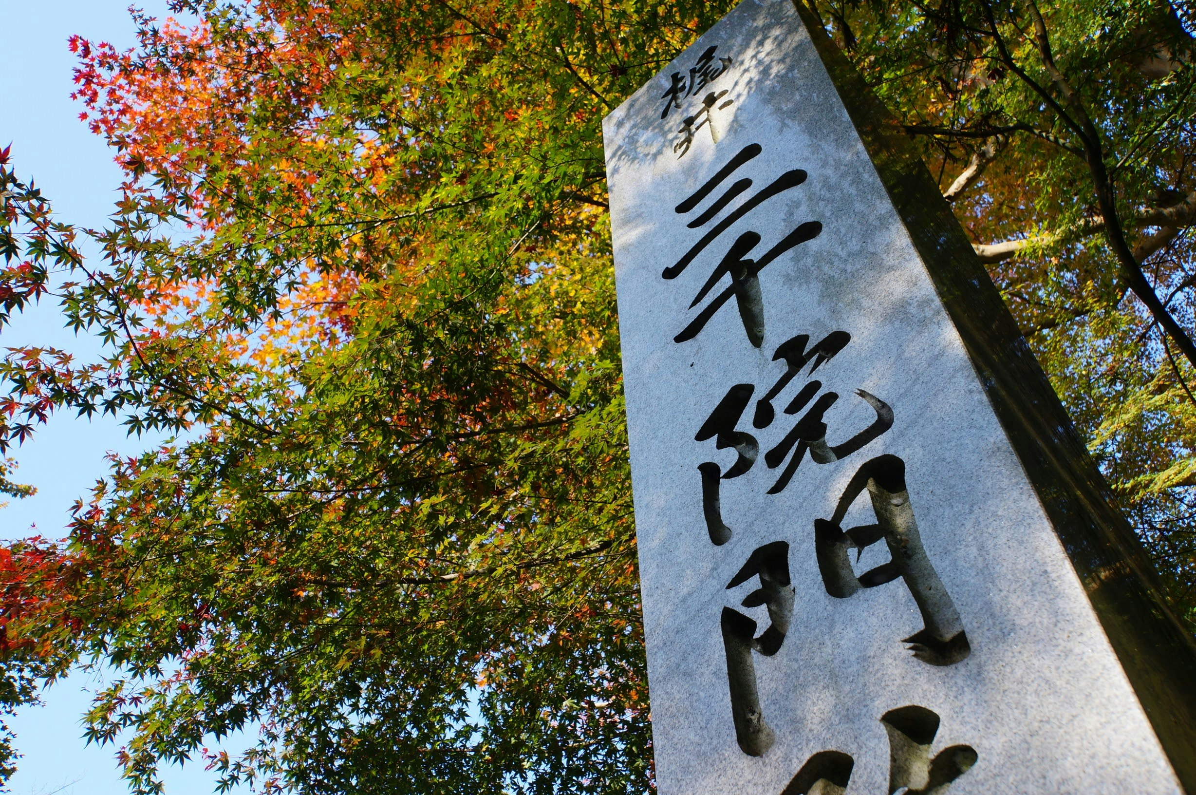 紅葉の木々と石碑の文字が見える景観