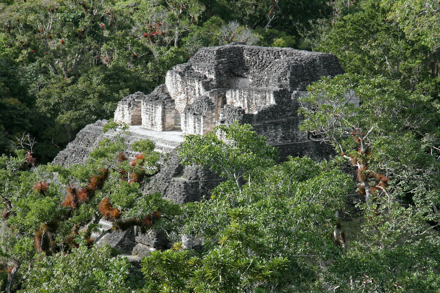 隱藏在郁郁蔥蔥的叢林中的古代遺跡