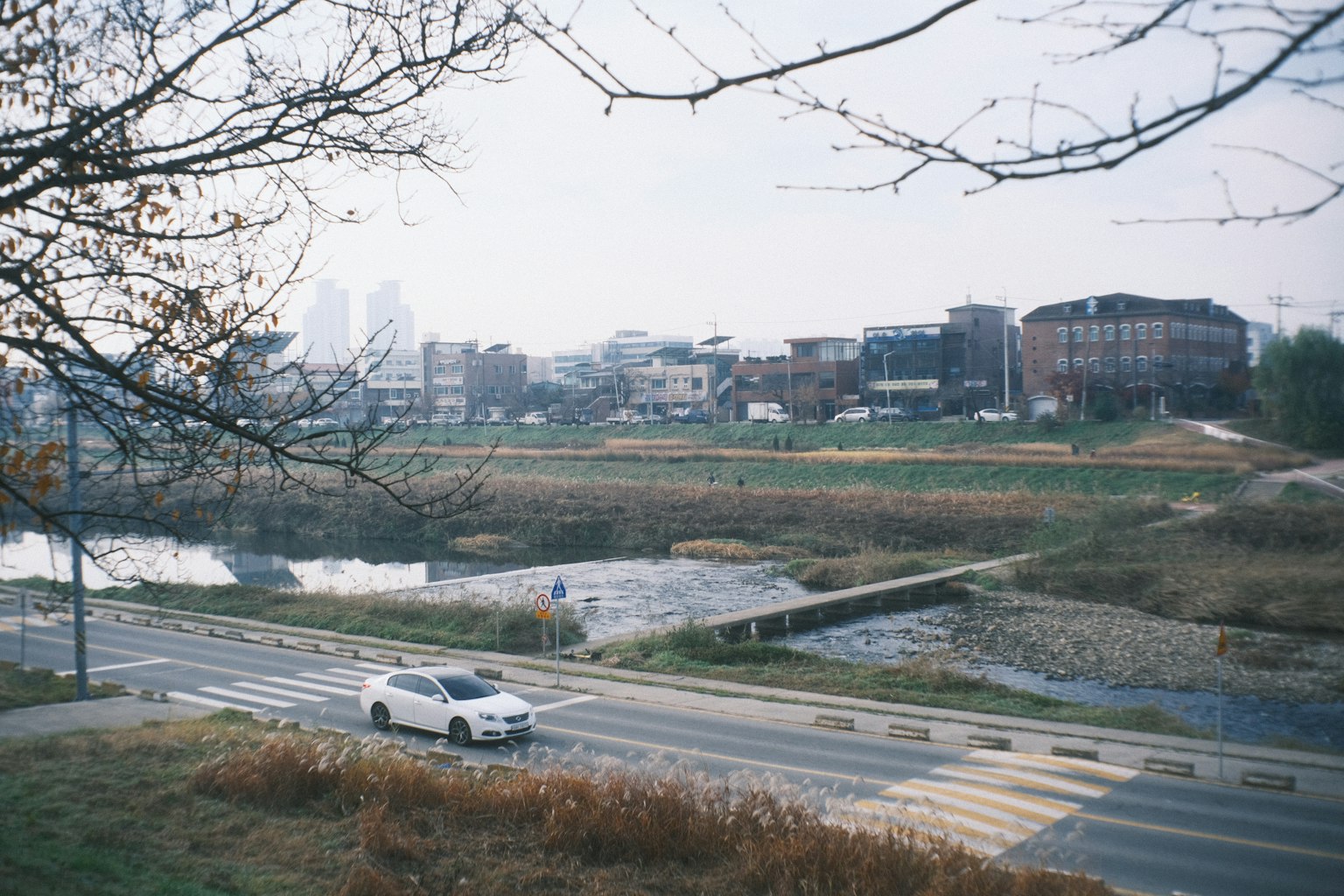 宁静的风景中有一条道路和一辆经过的汽车以及一条河流