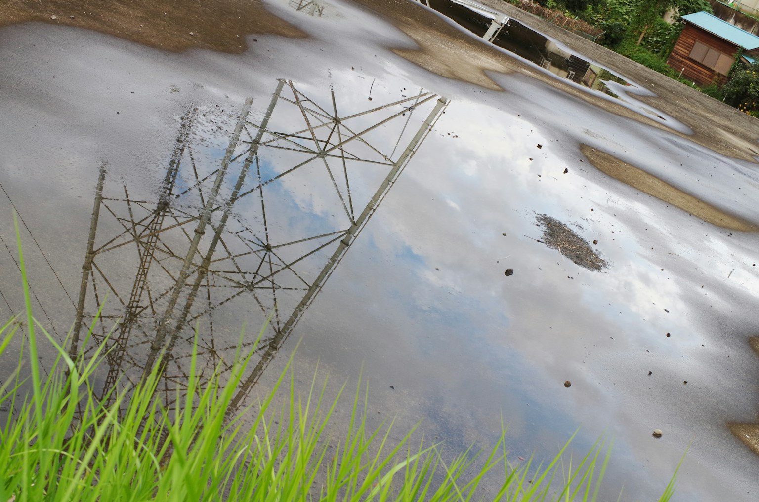 สะท้อนของเสาไฟฟ้าในแอ่งน้ำพร้อมหญ้า