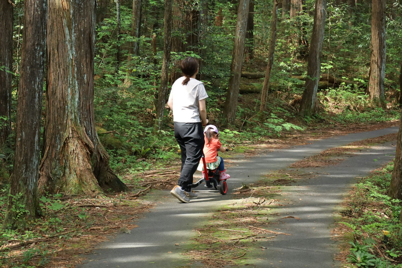 Parent and child walking along a forest path
