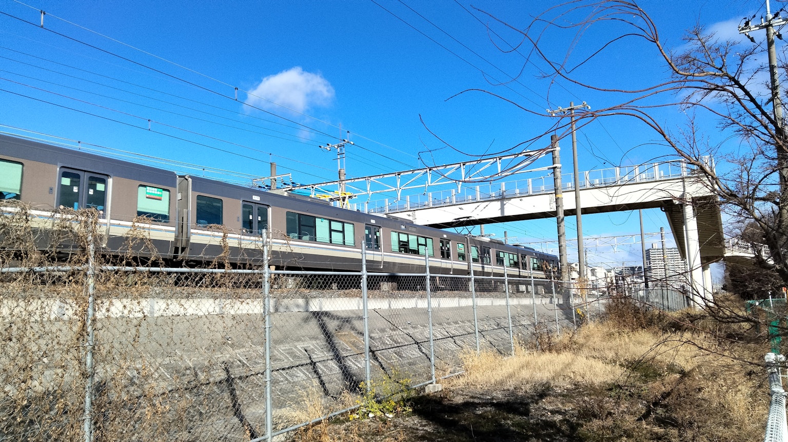 Train passing under a clear blue sky with an overpass