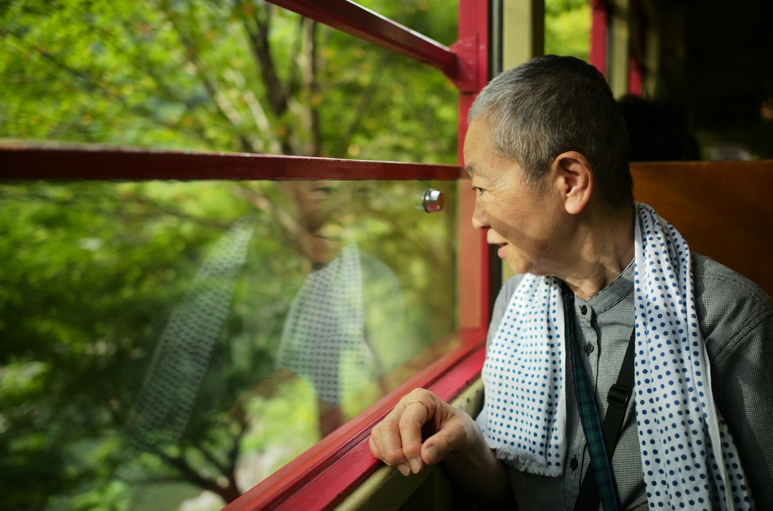 Elderly woman gazing out the window green trees visible from the train interior