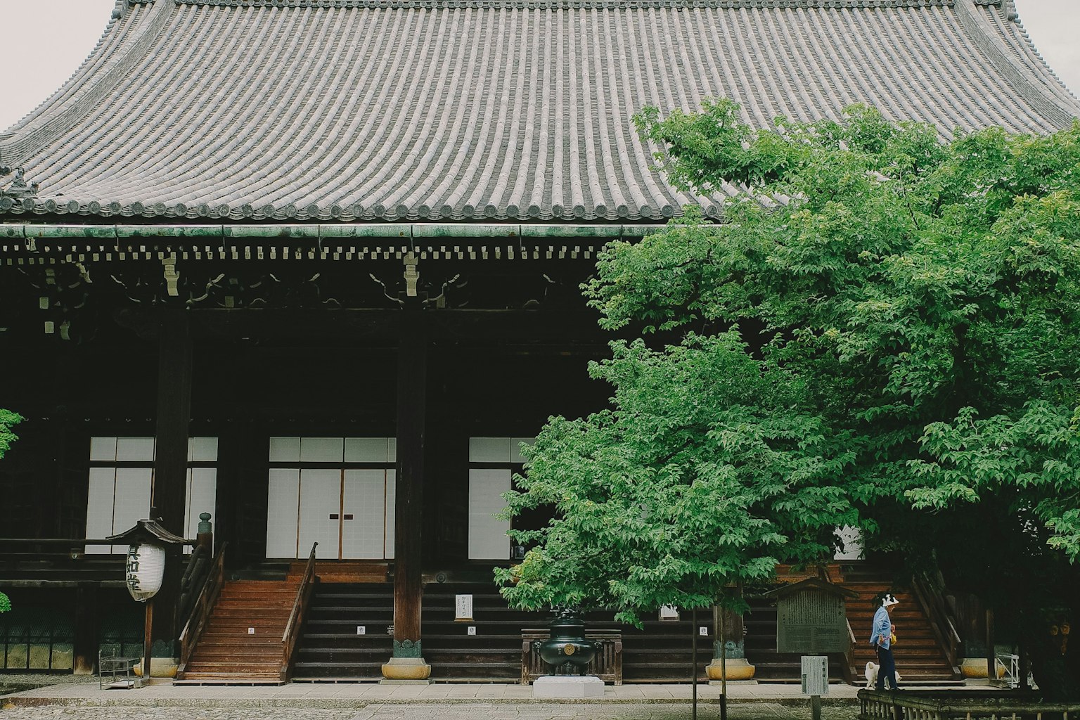 Traditional Japanese temple exterior featuring green trees and steps
