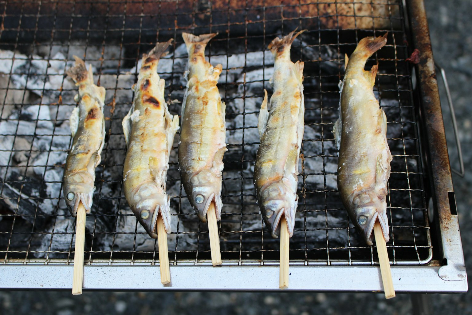 Brochetas de pescado a la parrilla dispuestas en una parrilla de carbón