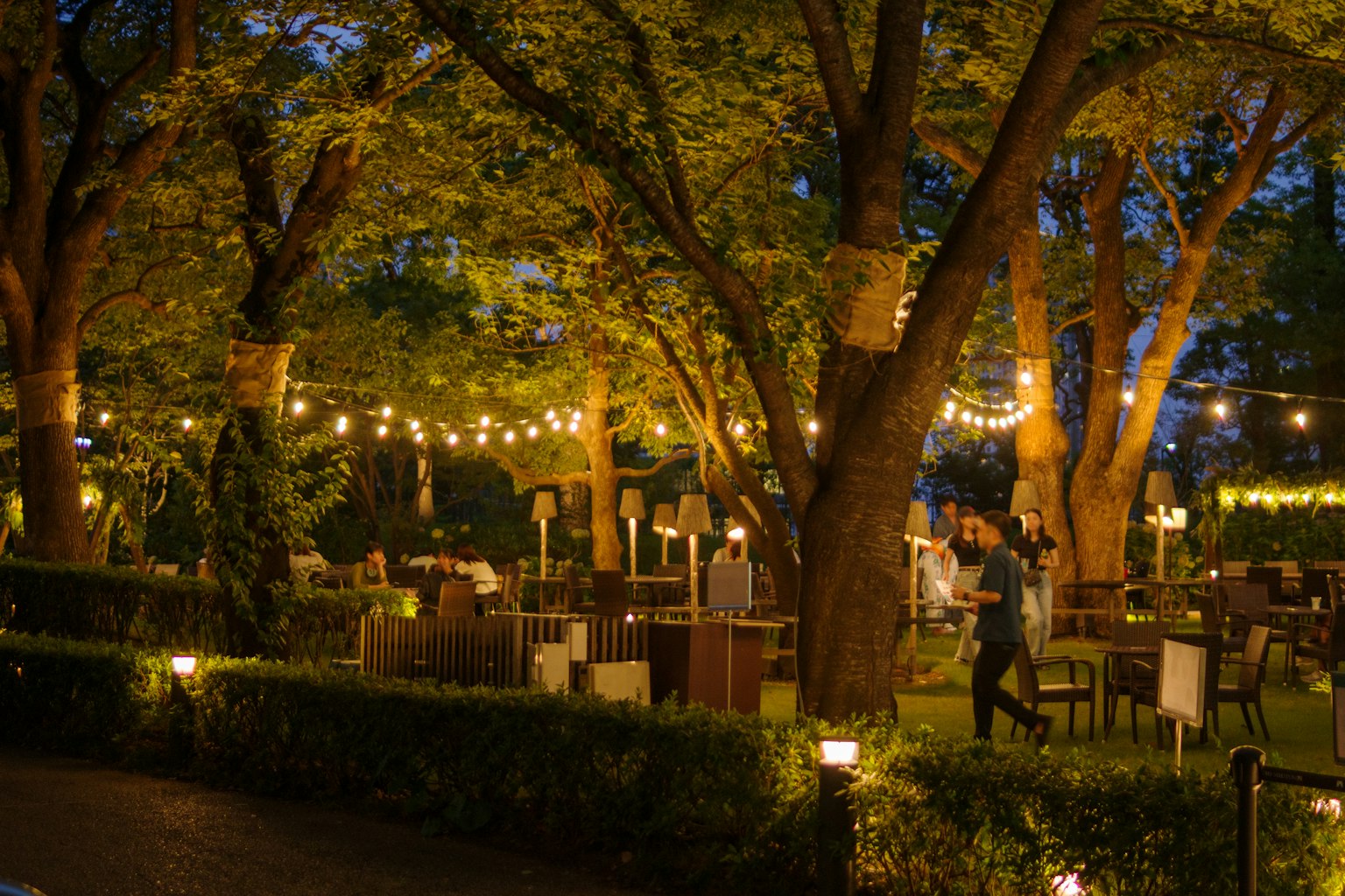 Incantevole ristorante all'aperto con luci calde e alberi di notte