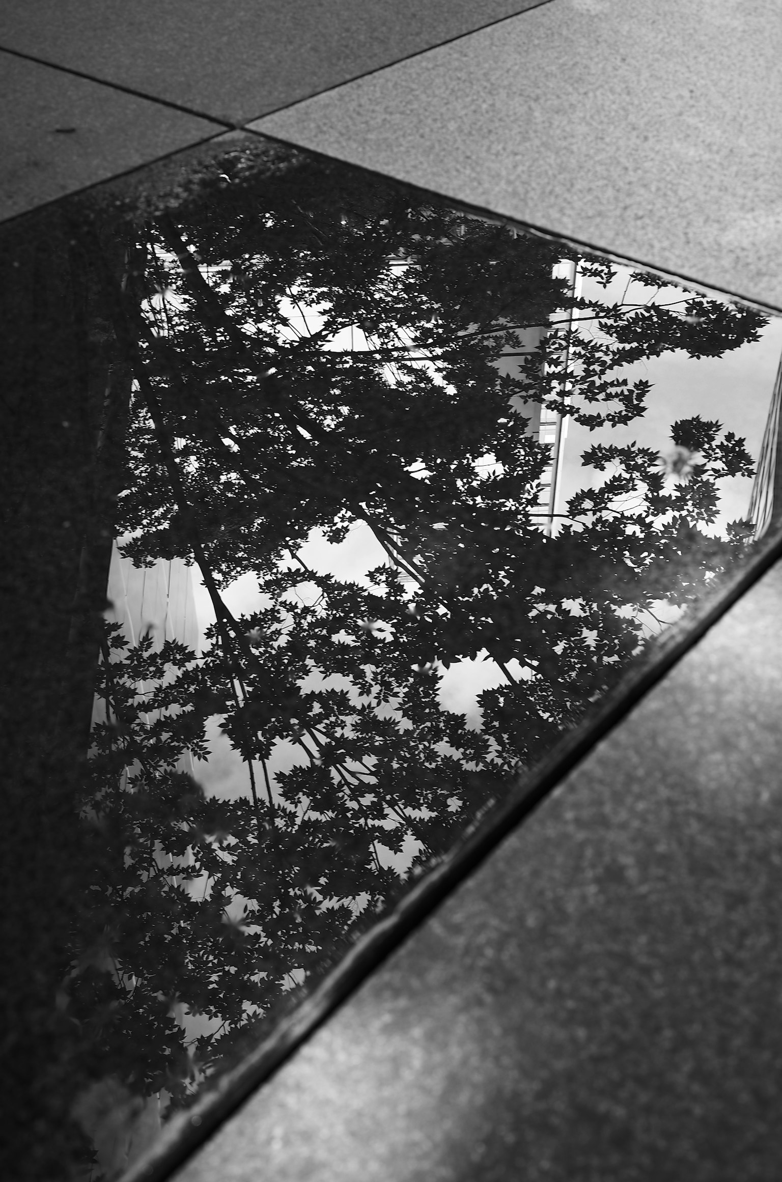 photo-KnsbiUKs2Q7h7hg7NtUy-image