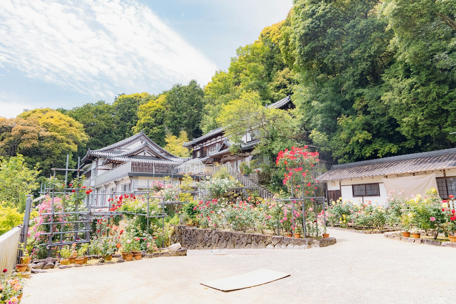 Bâtiment traditionnel japonais entouré de verdure luxuriante et de fleurs vibrantes