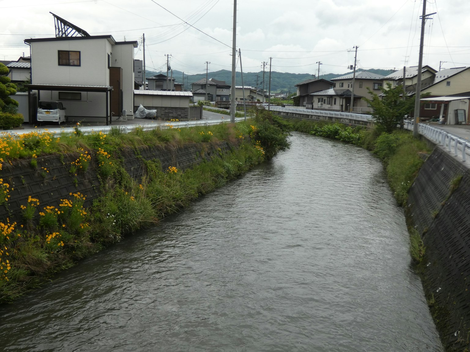 Una vista di un fiume con case circostanti e fiori gialli