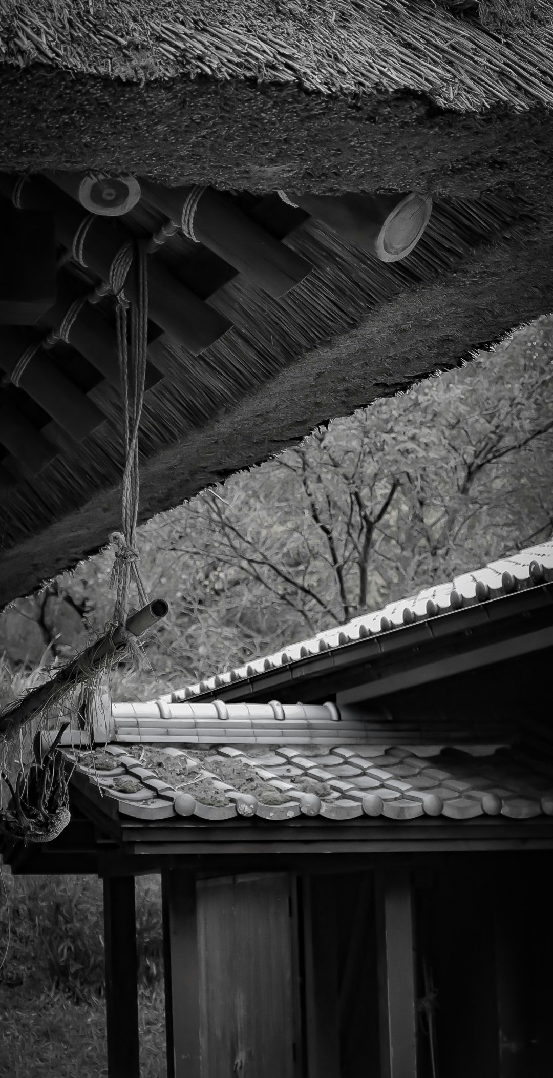 モノクロの屋根と瓦のある日本家屋の軒先