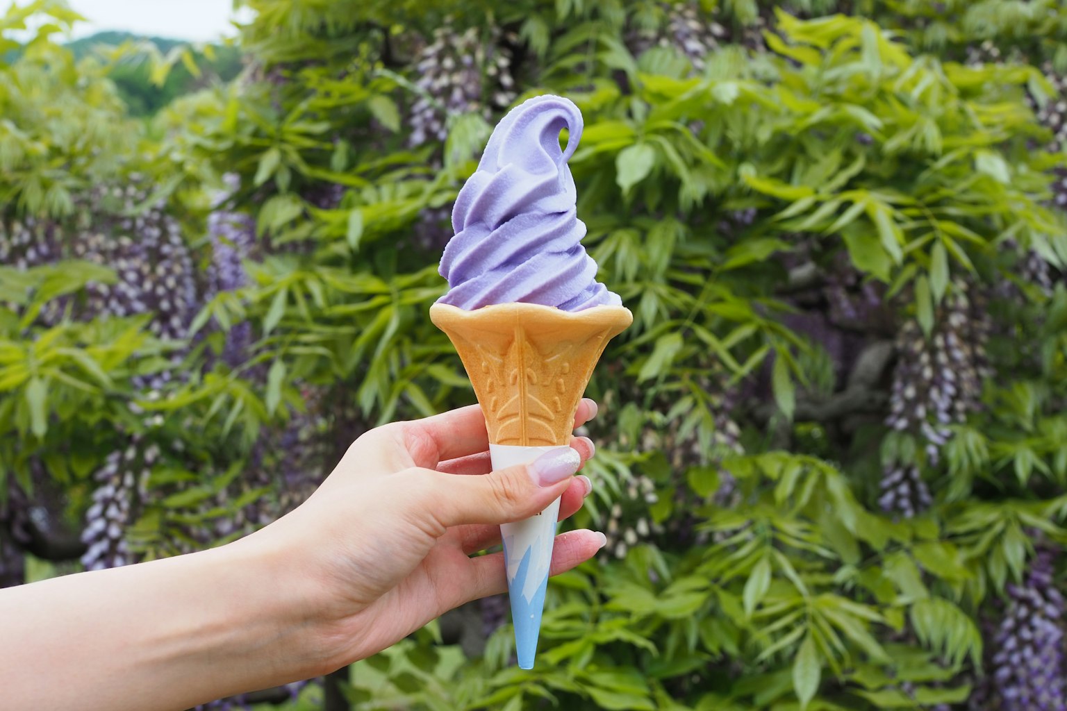 Mano che tiene un gelato morbido viola con sfondo di fogliame verde