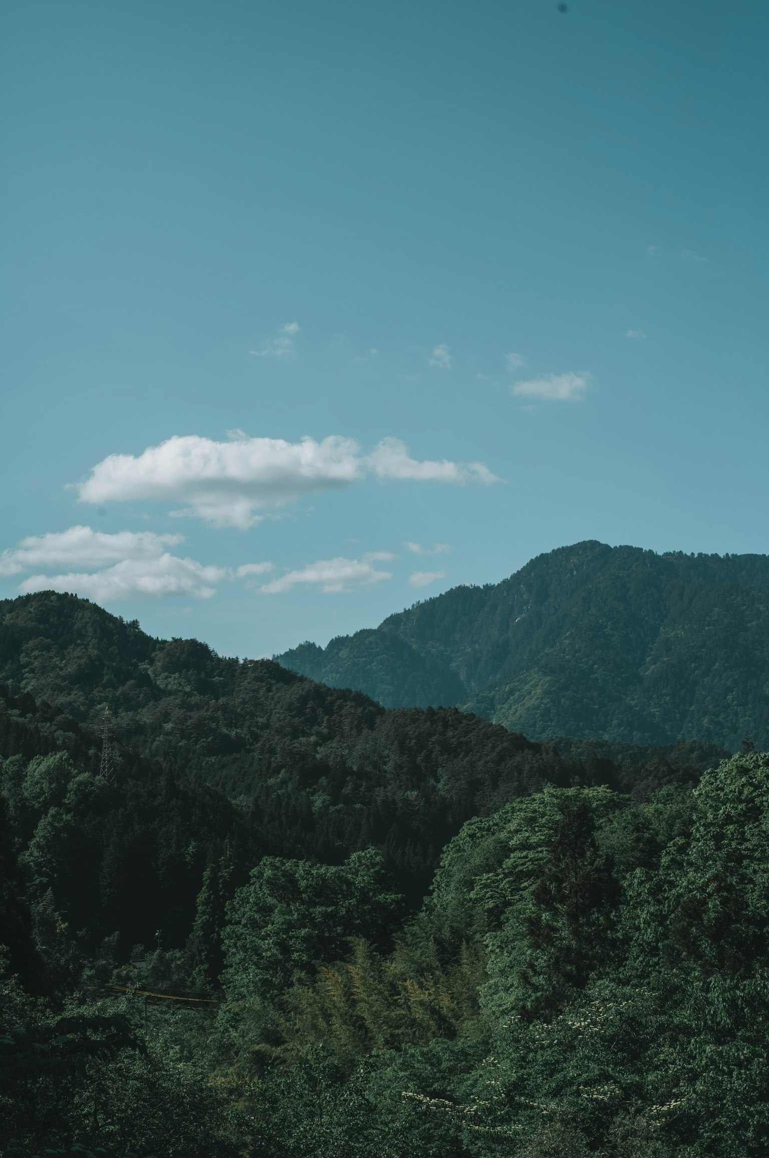 郁郁蔥蔥的山脈在晴朗的藍天和白雲下