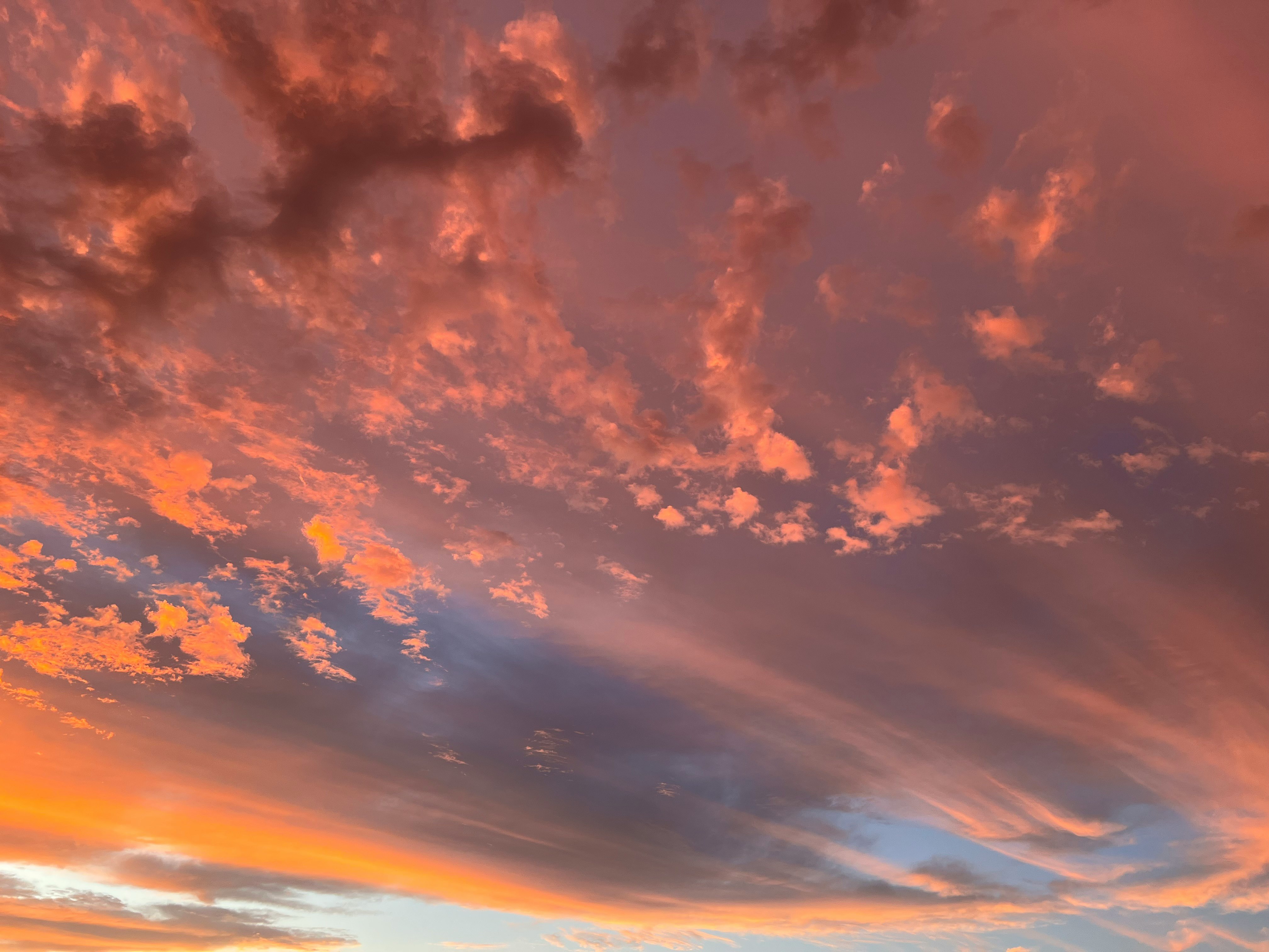 秋の空に広がる夕焼け雲の空