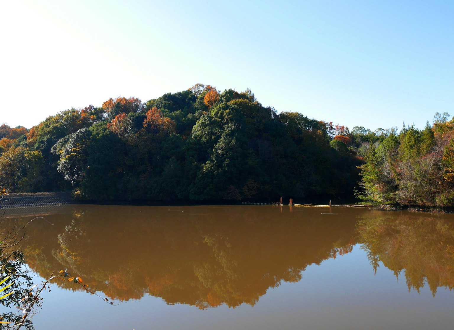 Lac serein reflétant des arbres colorés et un ciel bleu clair