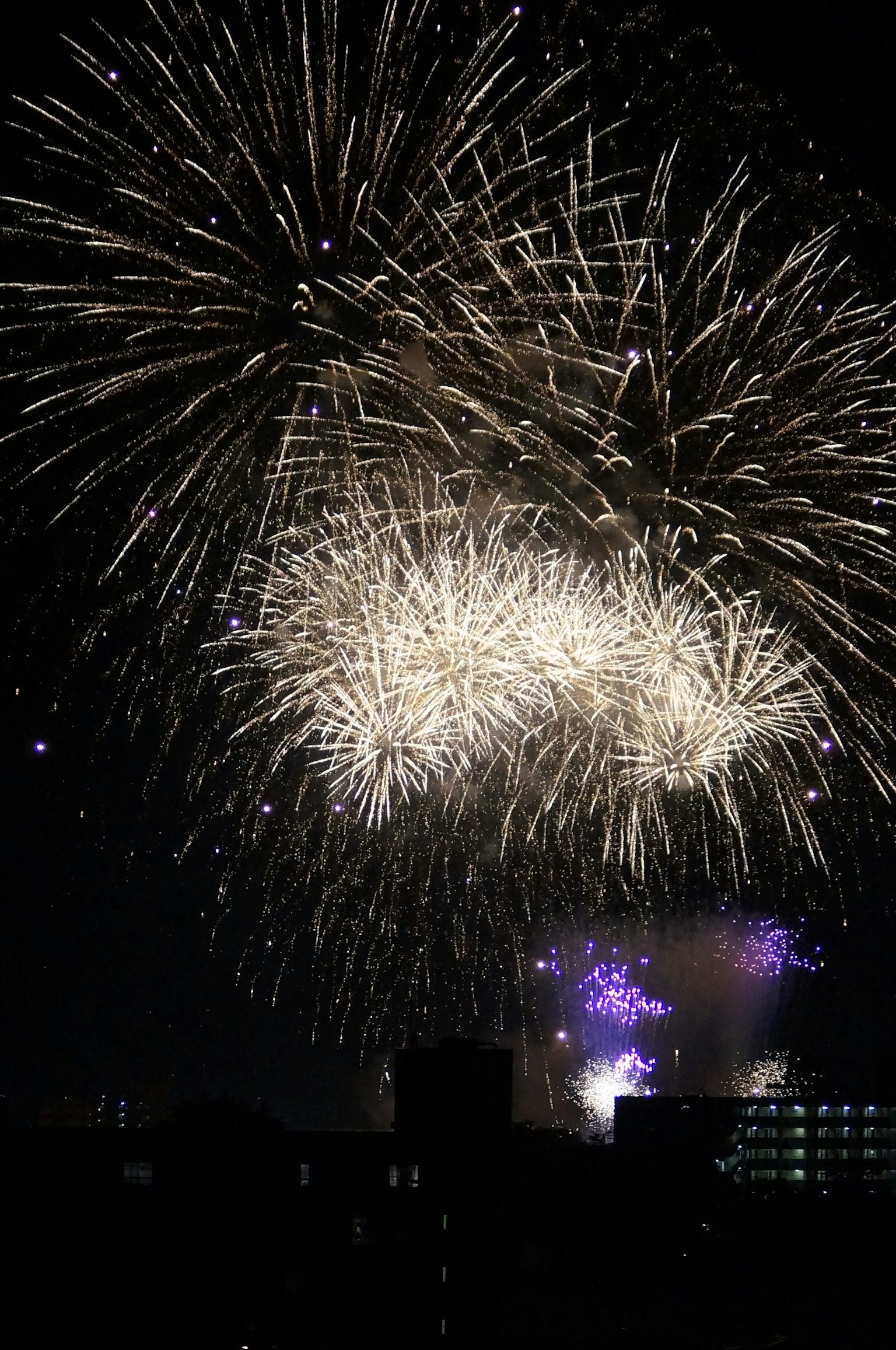 Hermoso espectáculo de fuegos artificiales iluminando el cielo nocturno