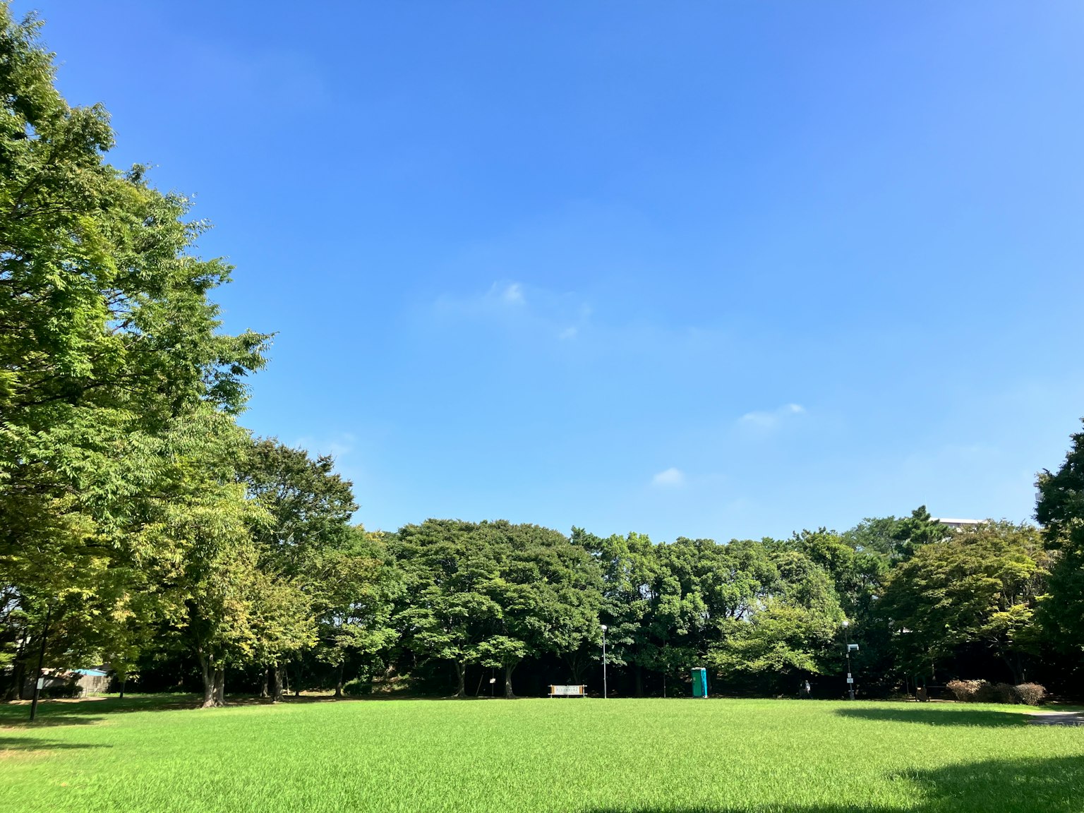 ทิวทัศน์สวนสาธารณะมีท้องฟ้าสีฟ้าสดใสและหญ้าสีเขียวสดใส
