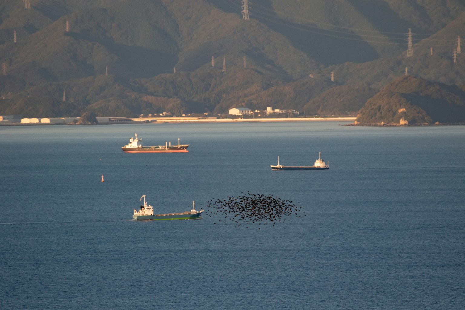 Diverse navi che galleggiano sul mare con montagne sullo sfondo