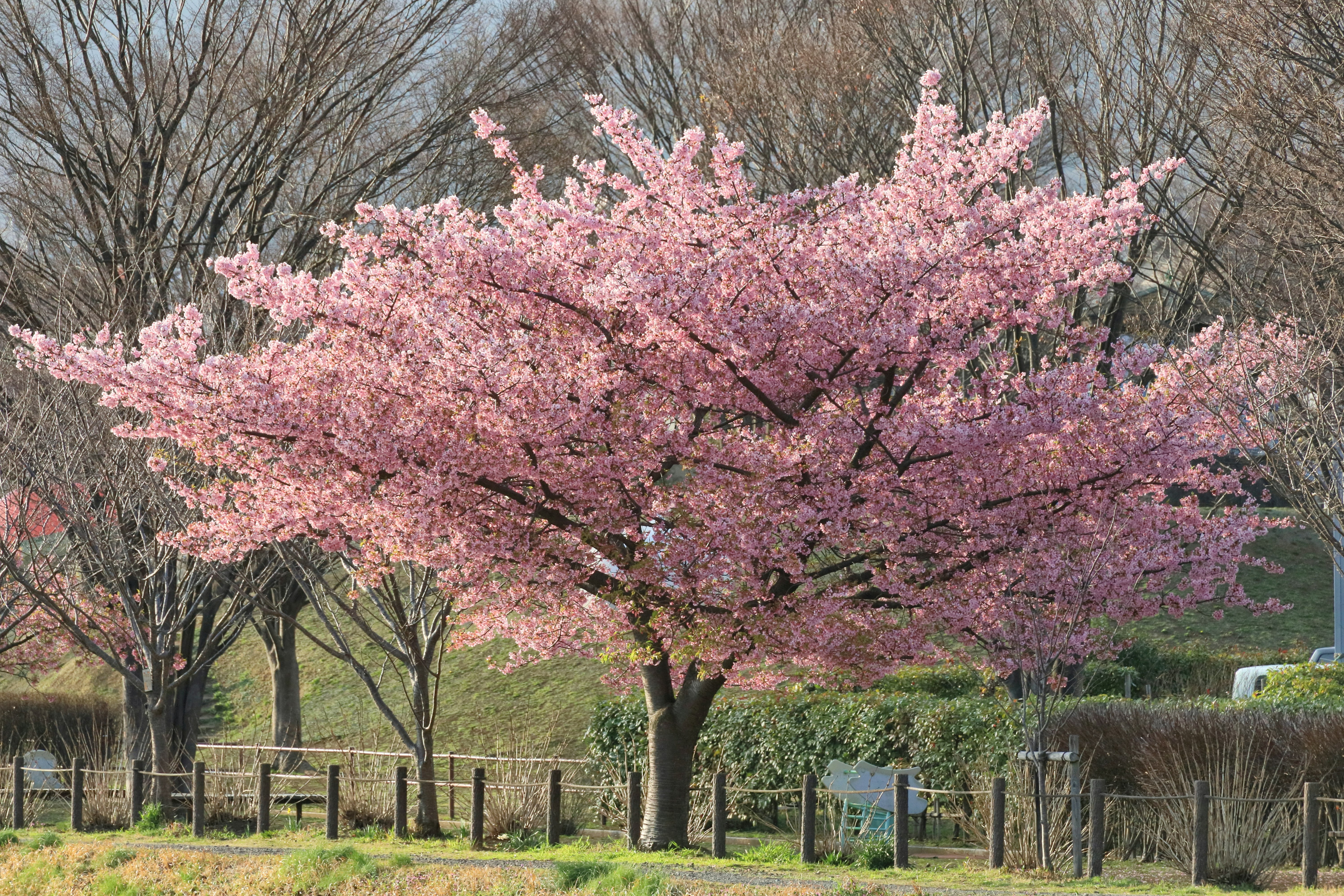 photo-Kq54c2urXnUgaEToKb4p-image