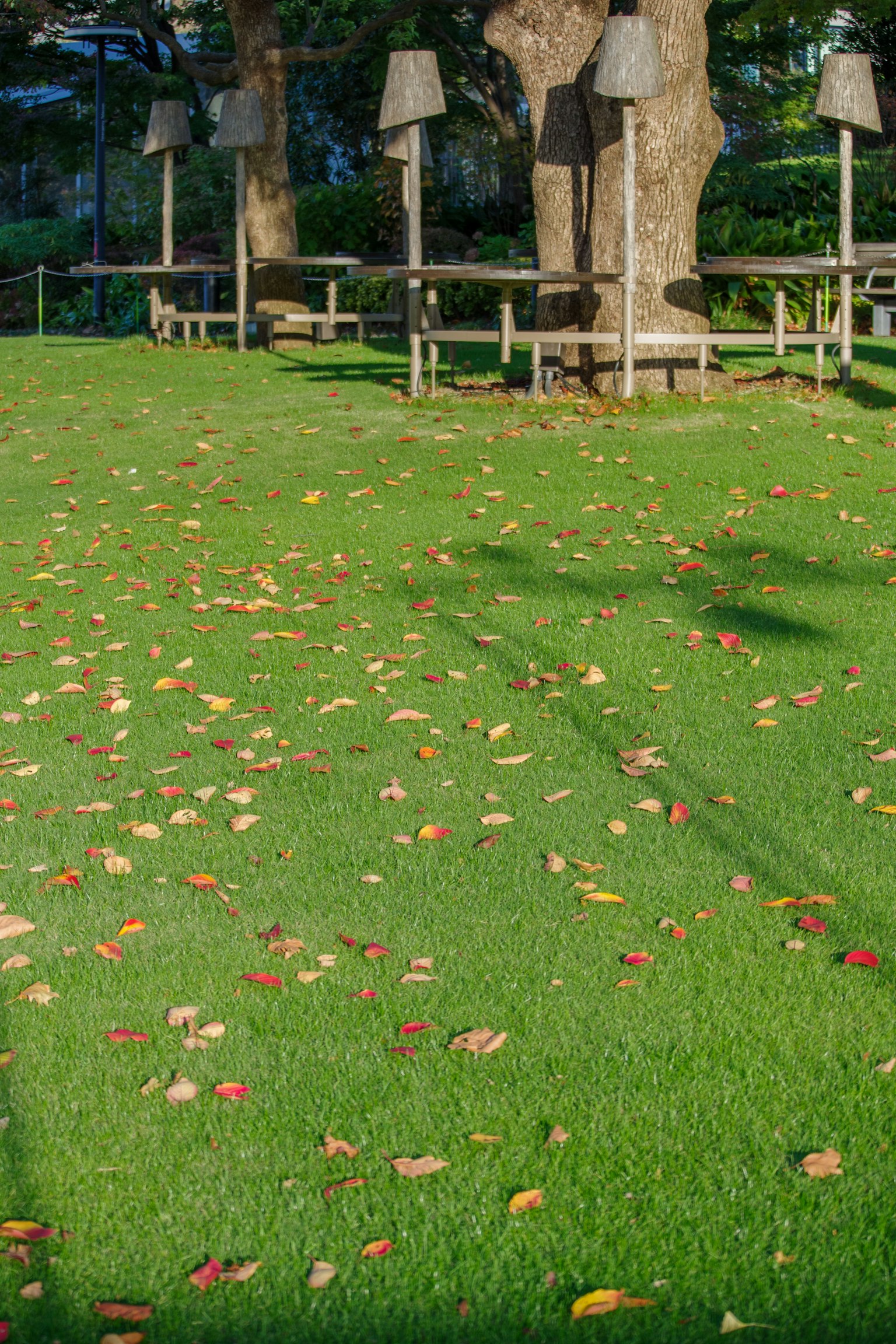 Colorful fallen leaves scattered on green grass with tree shadows