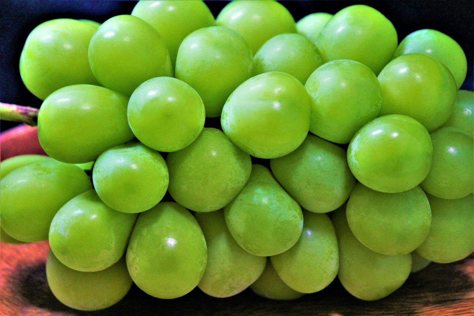 A cluster of fresh green grapes arranged closely together