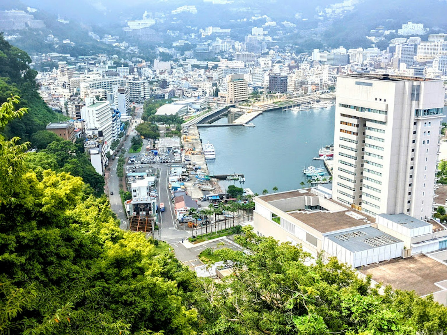 Lush hill overlooking a cityscape and coastline