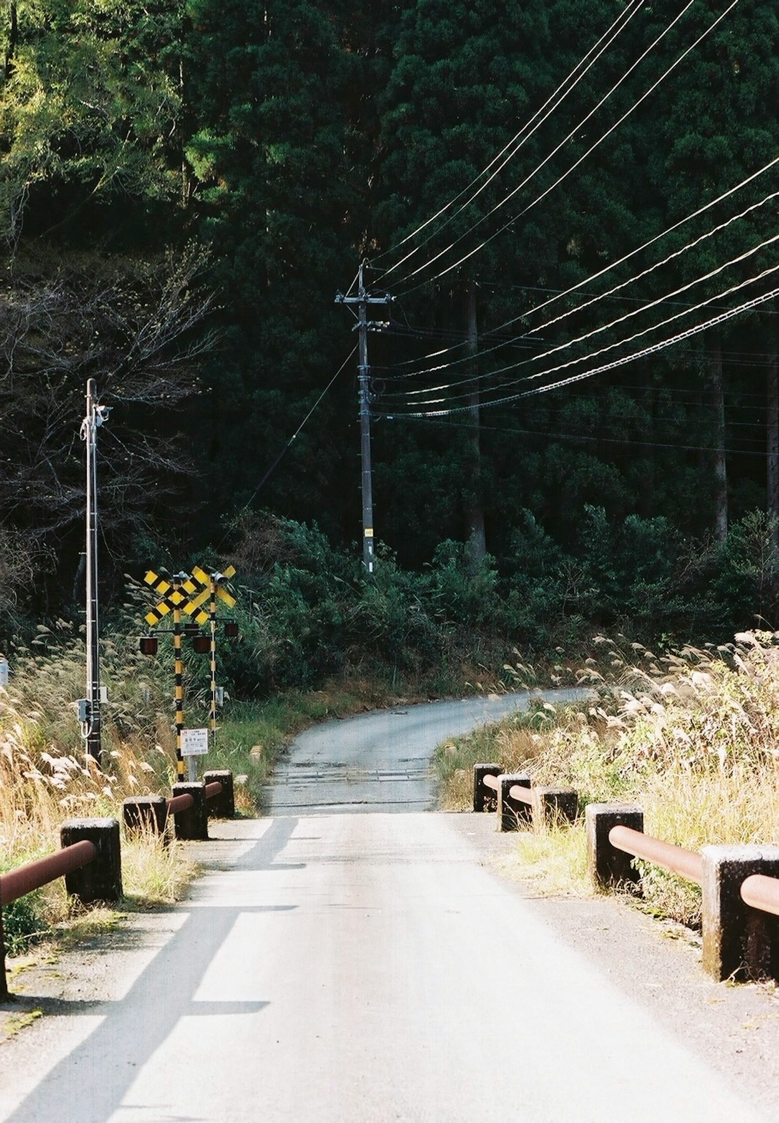 Quiet rural road with visible power lines