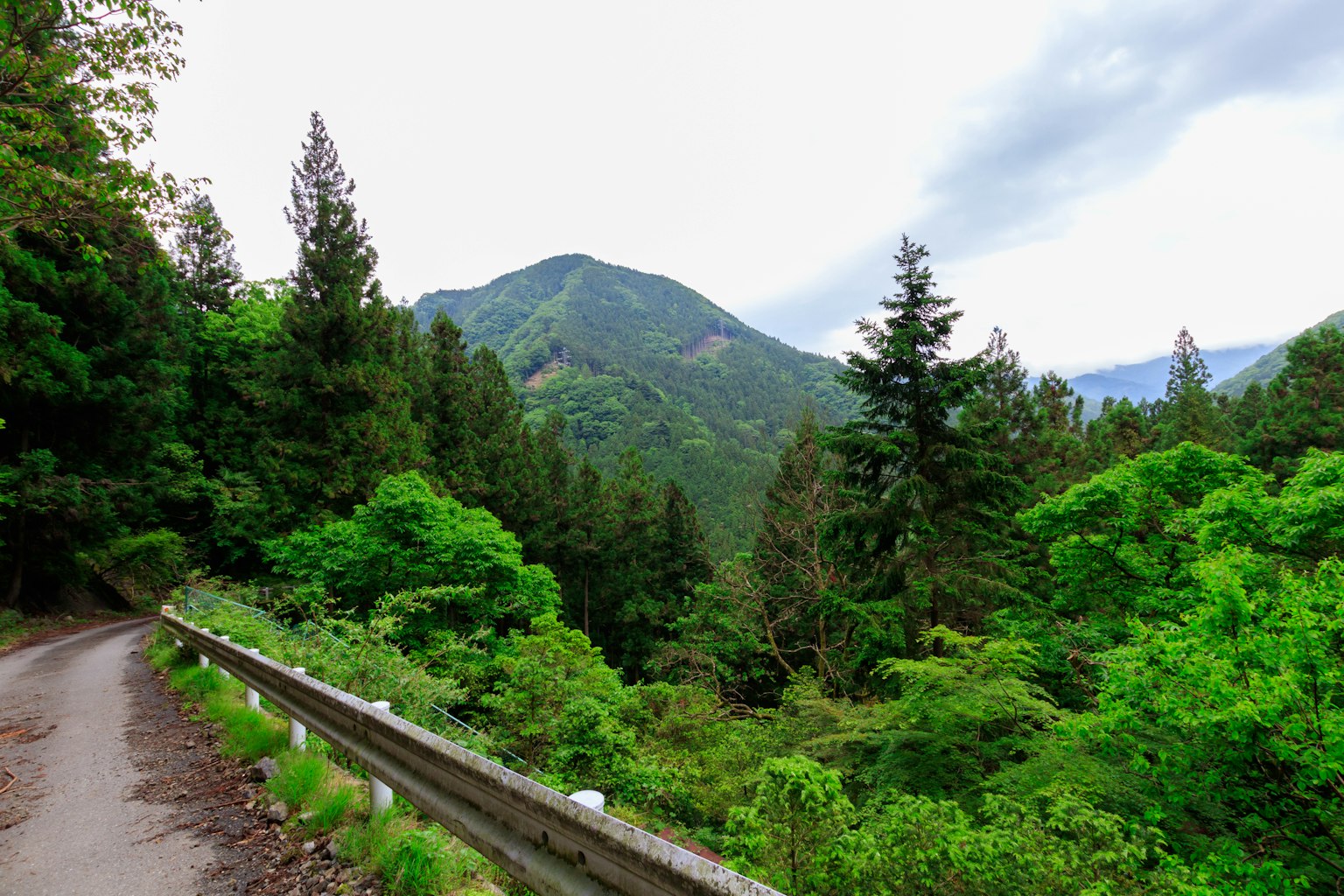Scenic mountain road surrounded by lush greenery