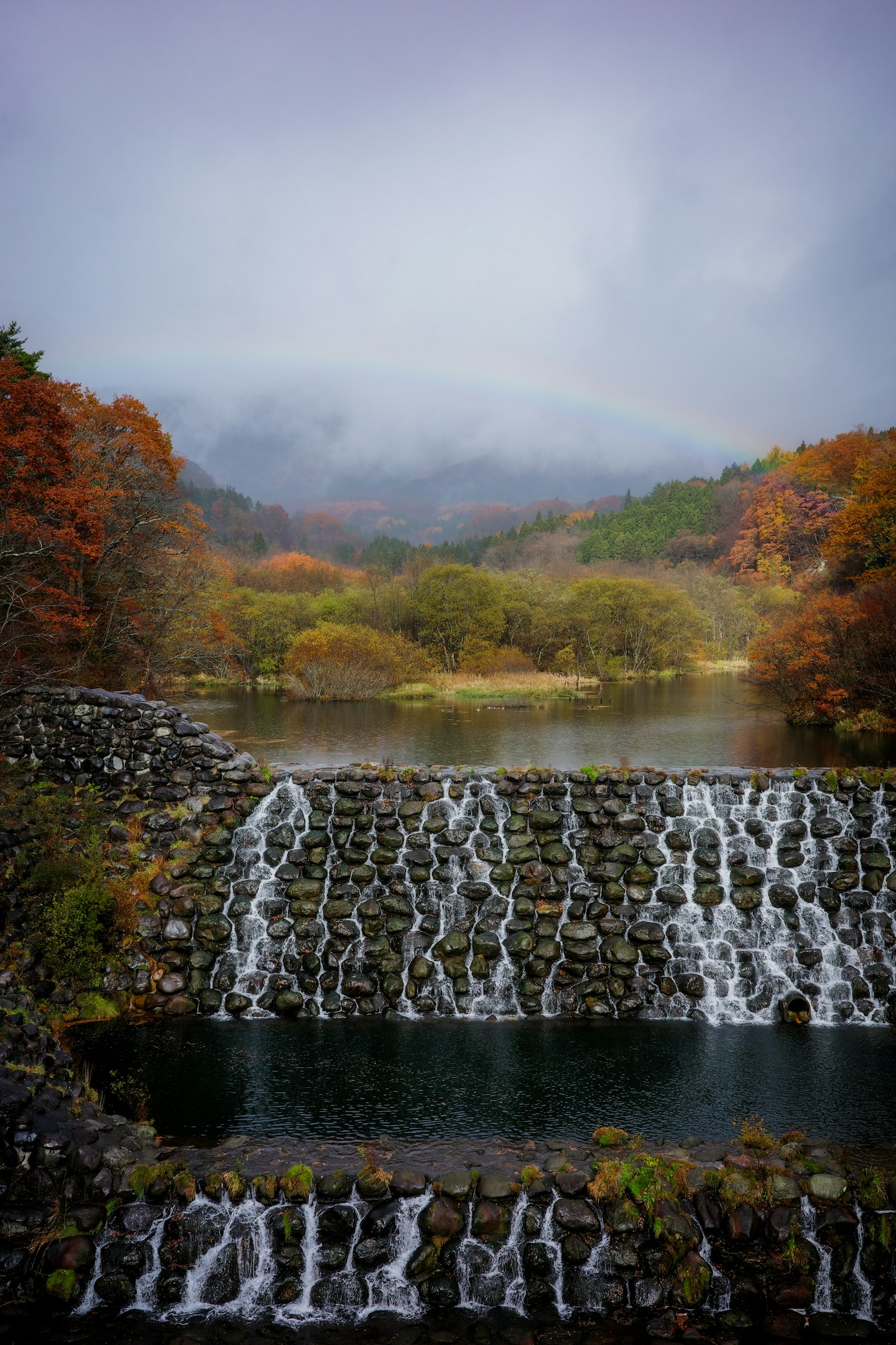 秋季樹葉的瀑布風景