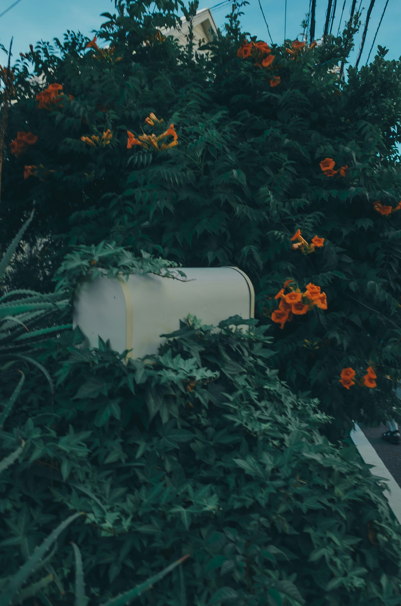 ภาพสวนที่มีม้านั่งสีขาวล้อมรอบด้วยดอกไม้และต้นไม้เขียวขจี