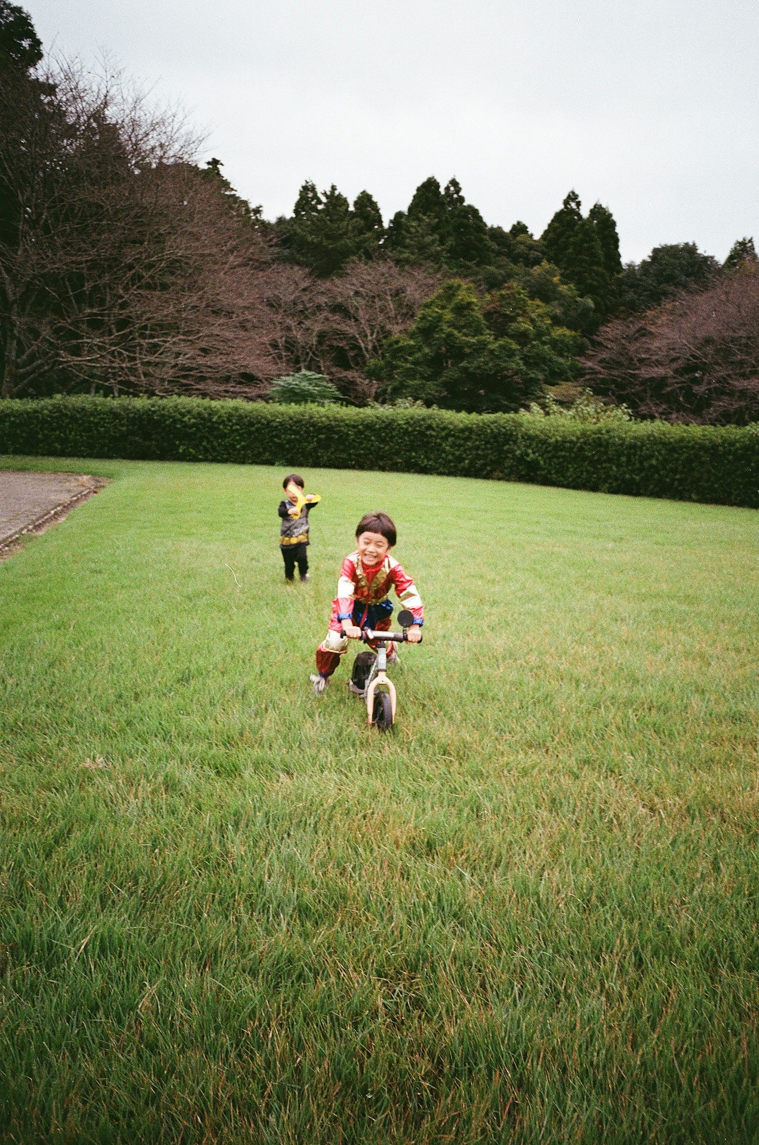 子供たちが緑の芝生の上で遊んでいる様子