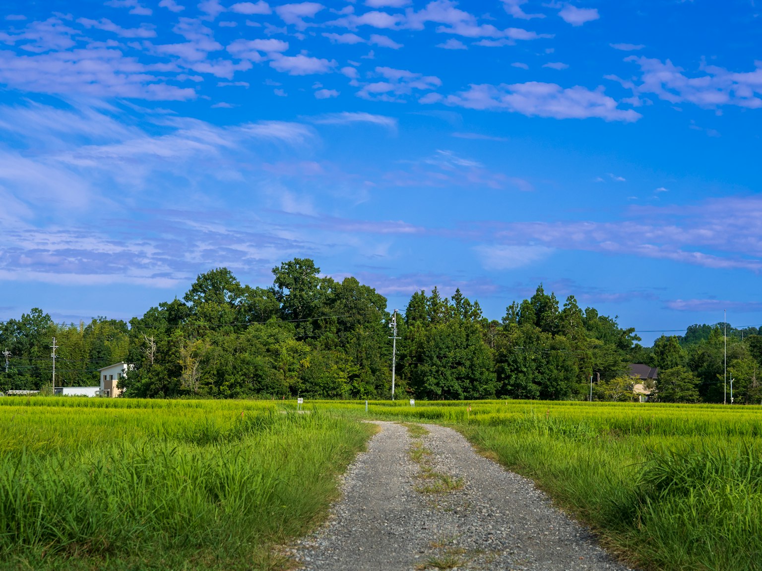 photo-KtgsAn6stZ1rjZ5Ss3Pg-image