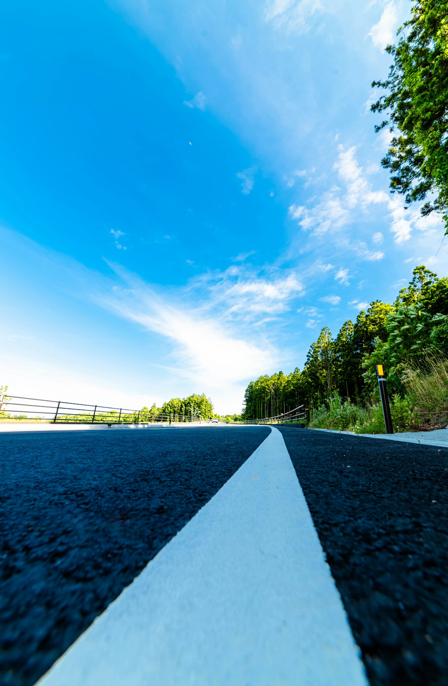 Vista a bassa angolazione di una strada con una linea bianca sotto un cielo blu e alberi verdi