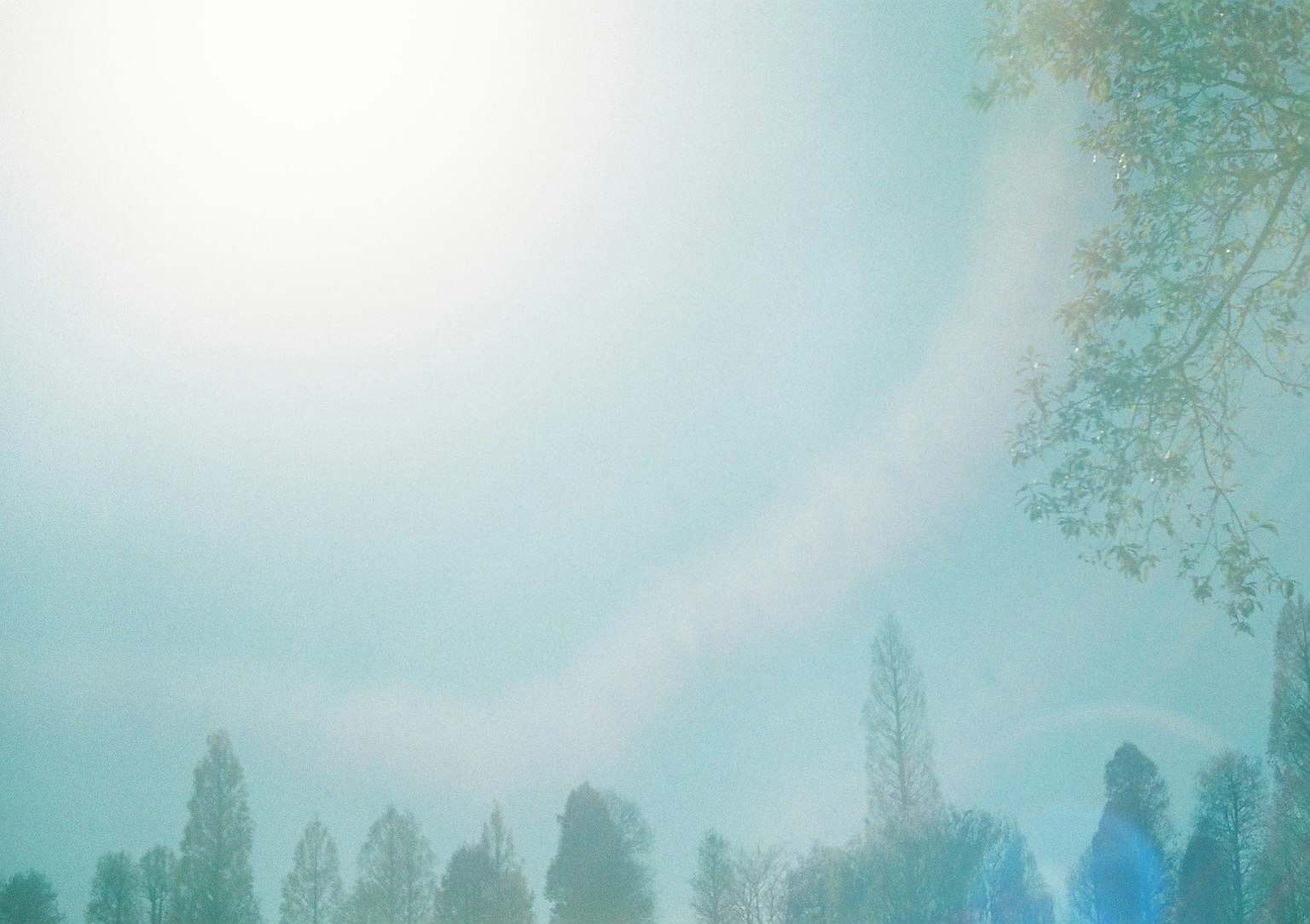 Un paysage onirique avec un ciel bleu et des silhouettes d'arbres floues