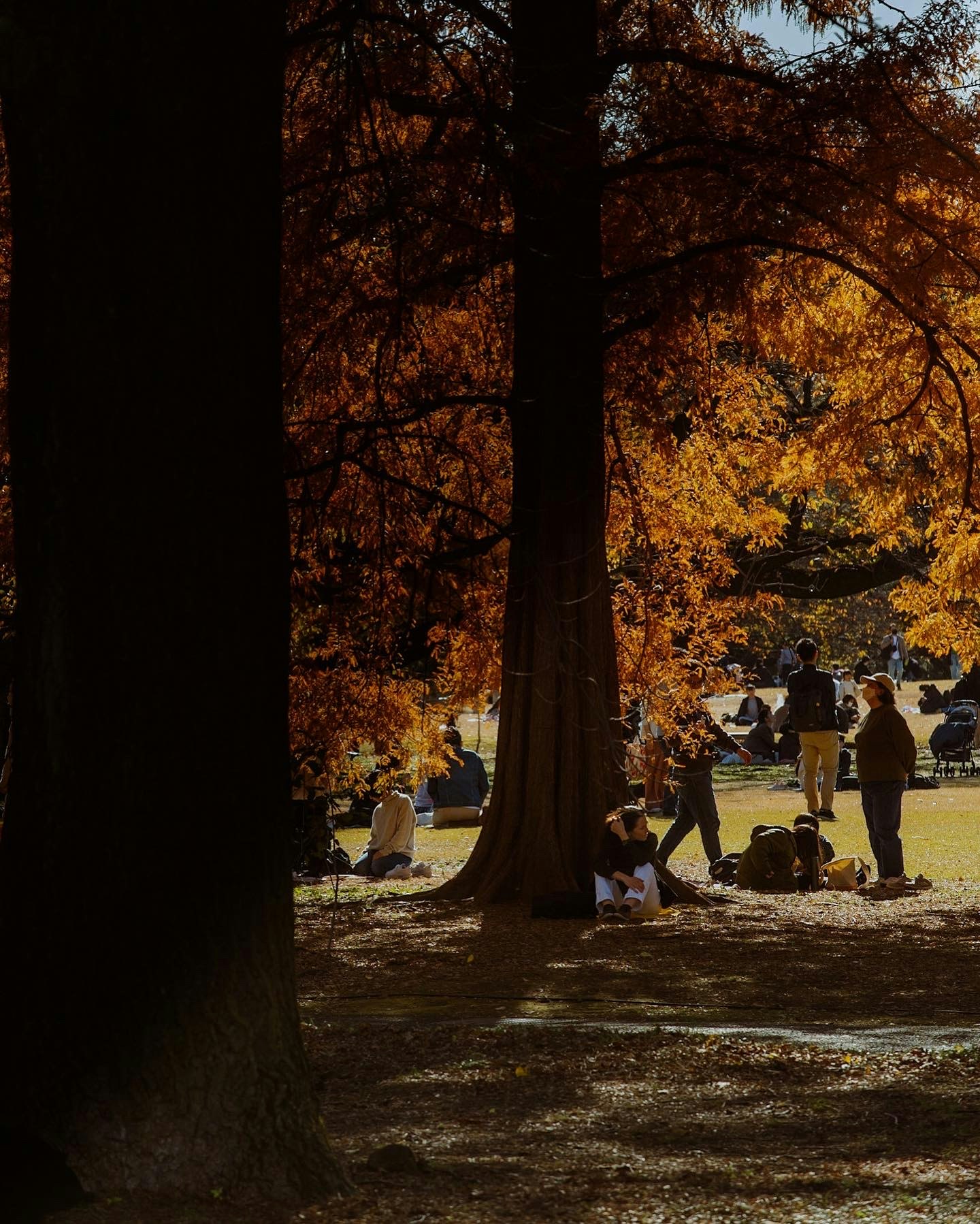 photo-KuJA0FIYjRE4wqQo7HCs-image