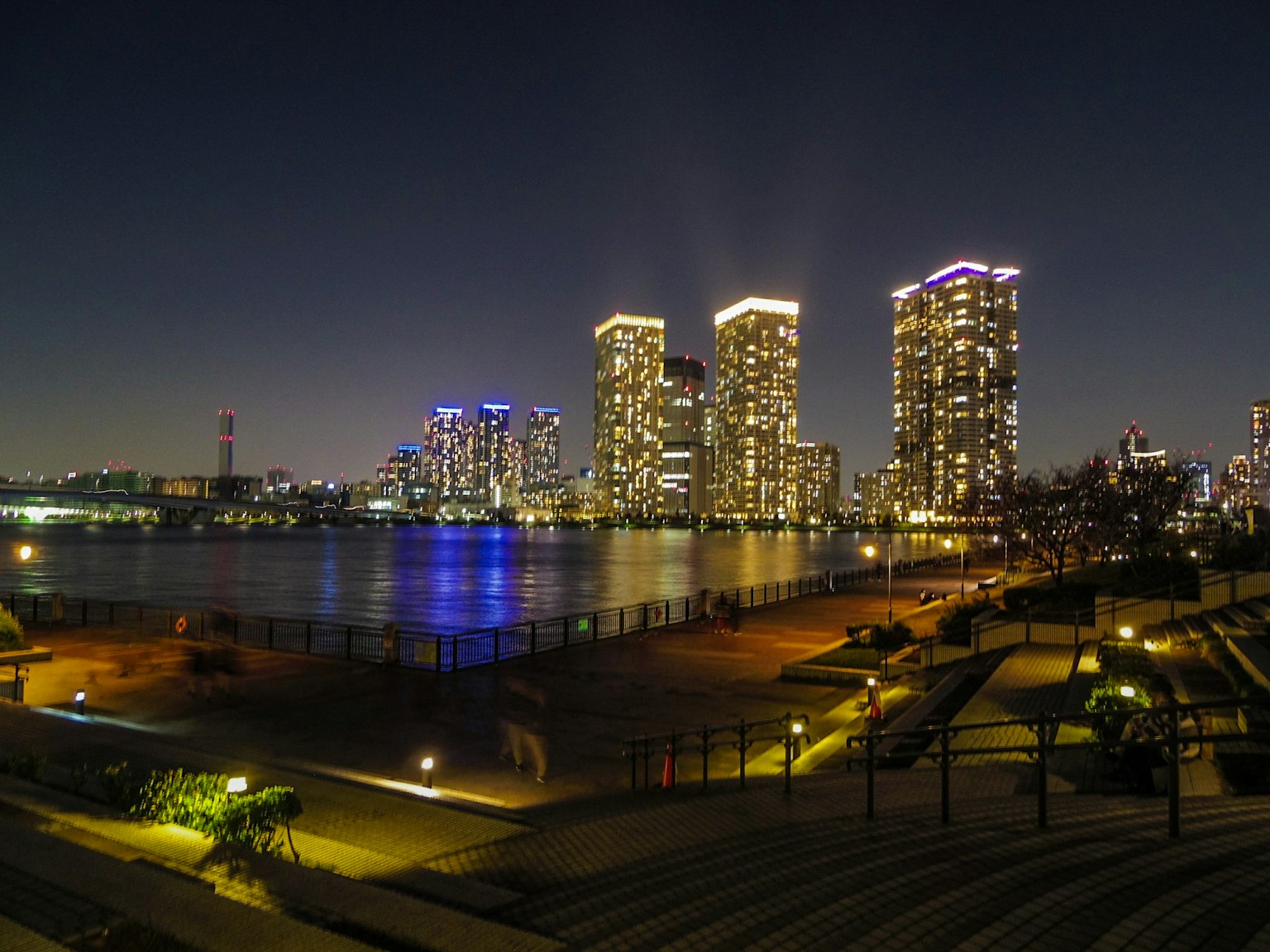 美丽的海洋和摩天大楼的夜景