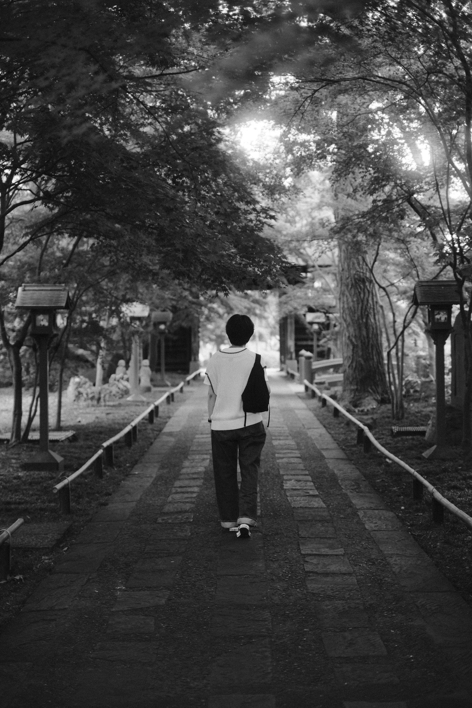 나무에 둘러싸인 돌길을 걷는 사람의 흑백 사진
