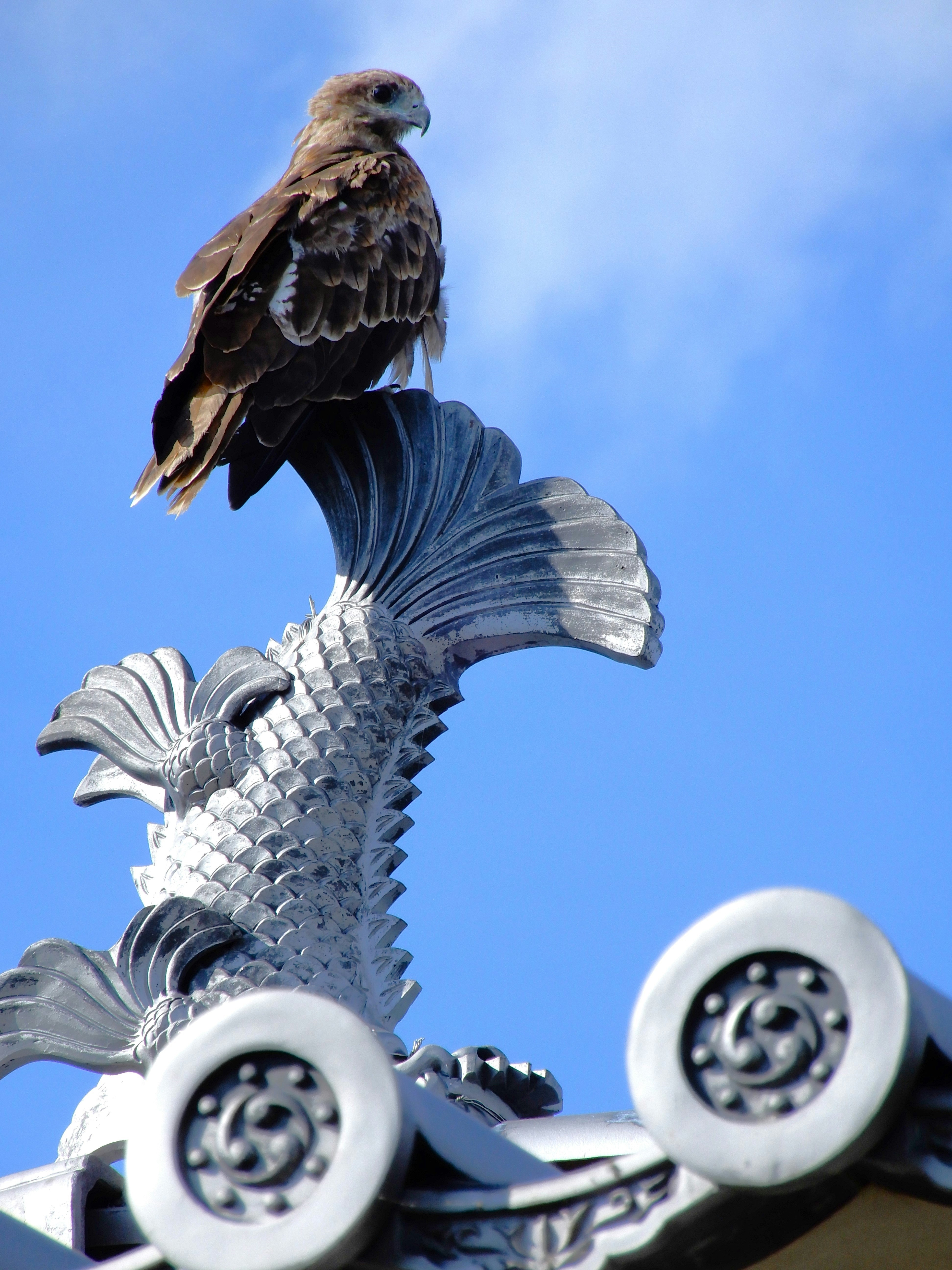 青空にそびえる鷲の像と翼の彫刻
