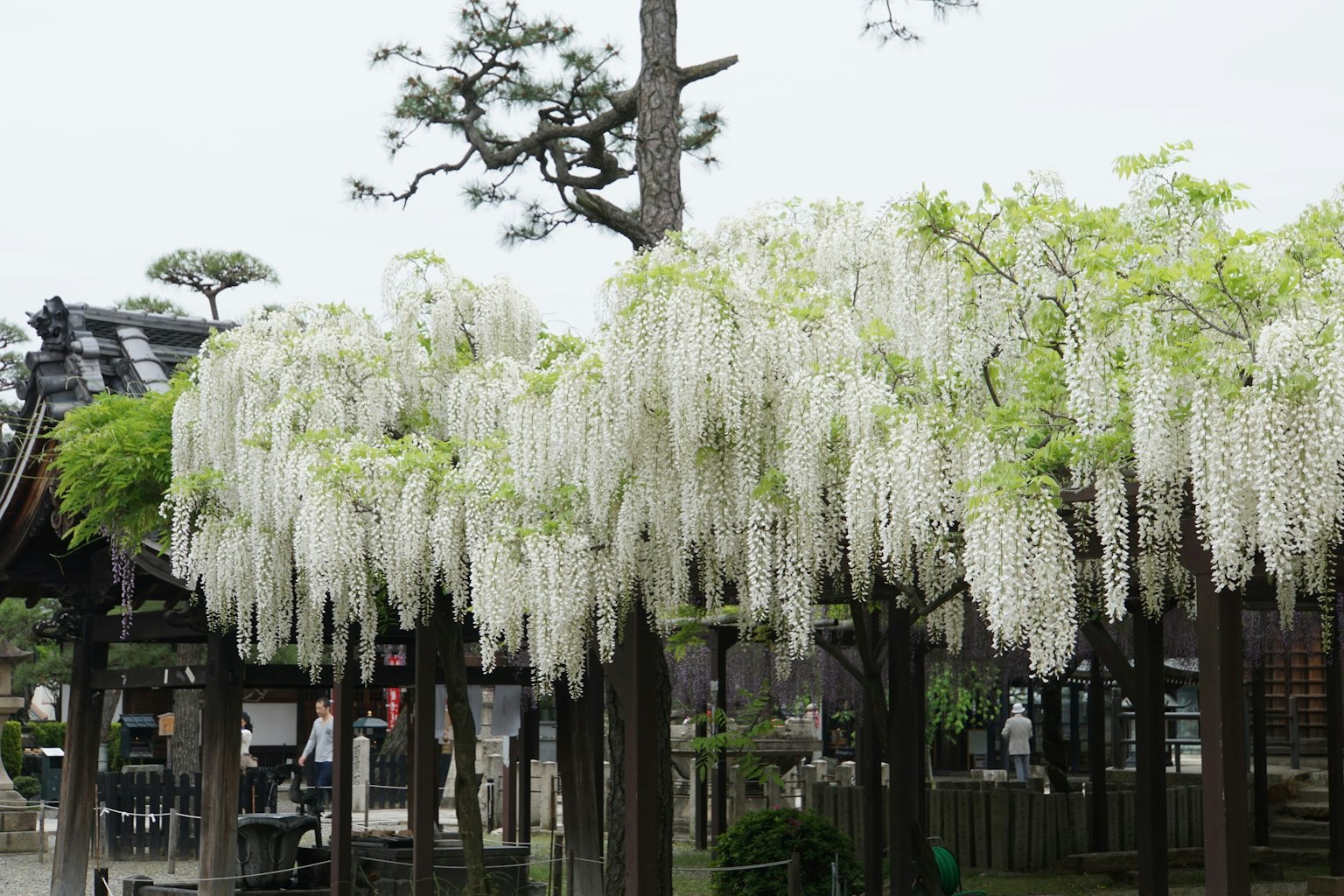 photo-KuaV5fOPUw7K2h7LRNOO-image