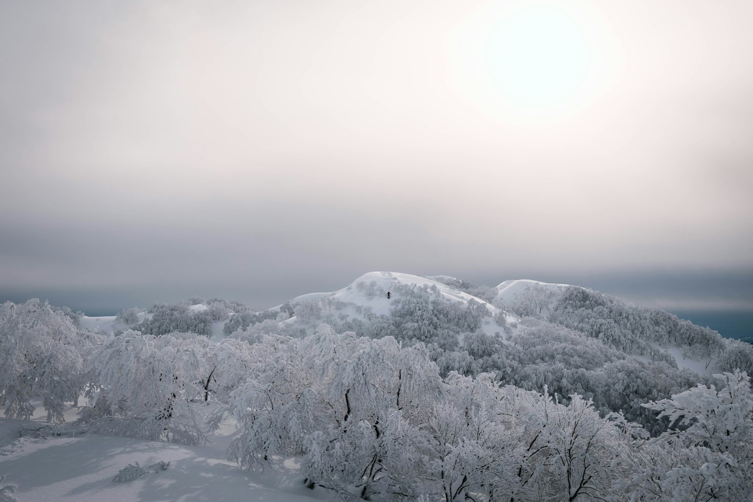 Montagnes enneigées sous un ciel nuageux