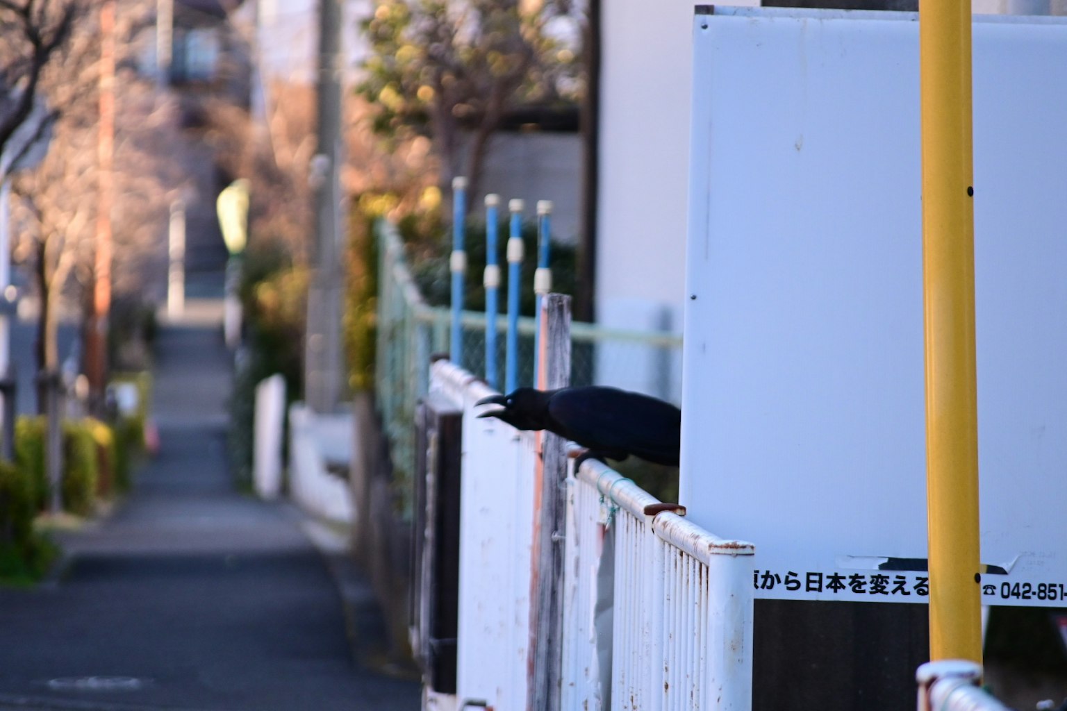A view of a white fence along a sidewalk with a black object visible