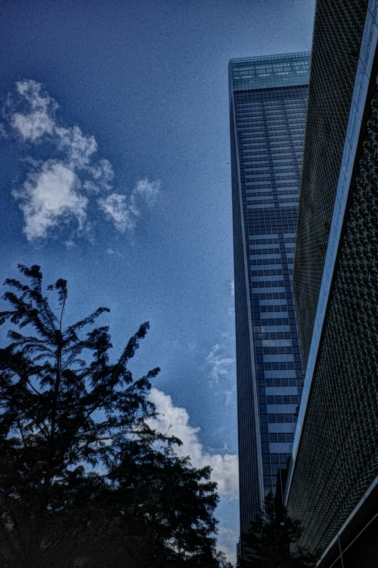 高層ビルと青空のコントラストが美しい風景