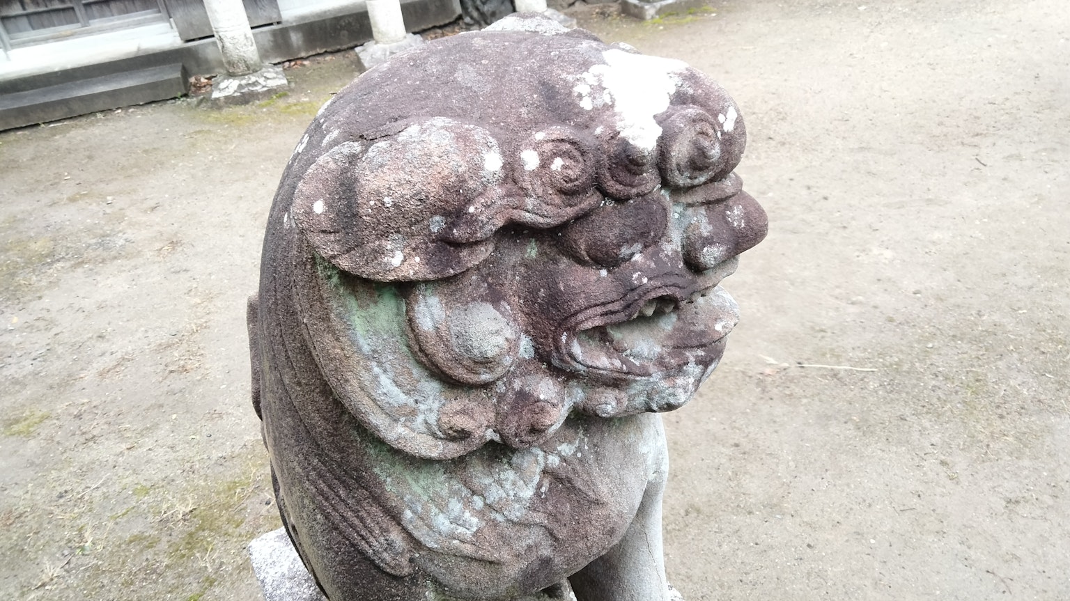 Wajah detail dari patung singa batu kuno