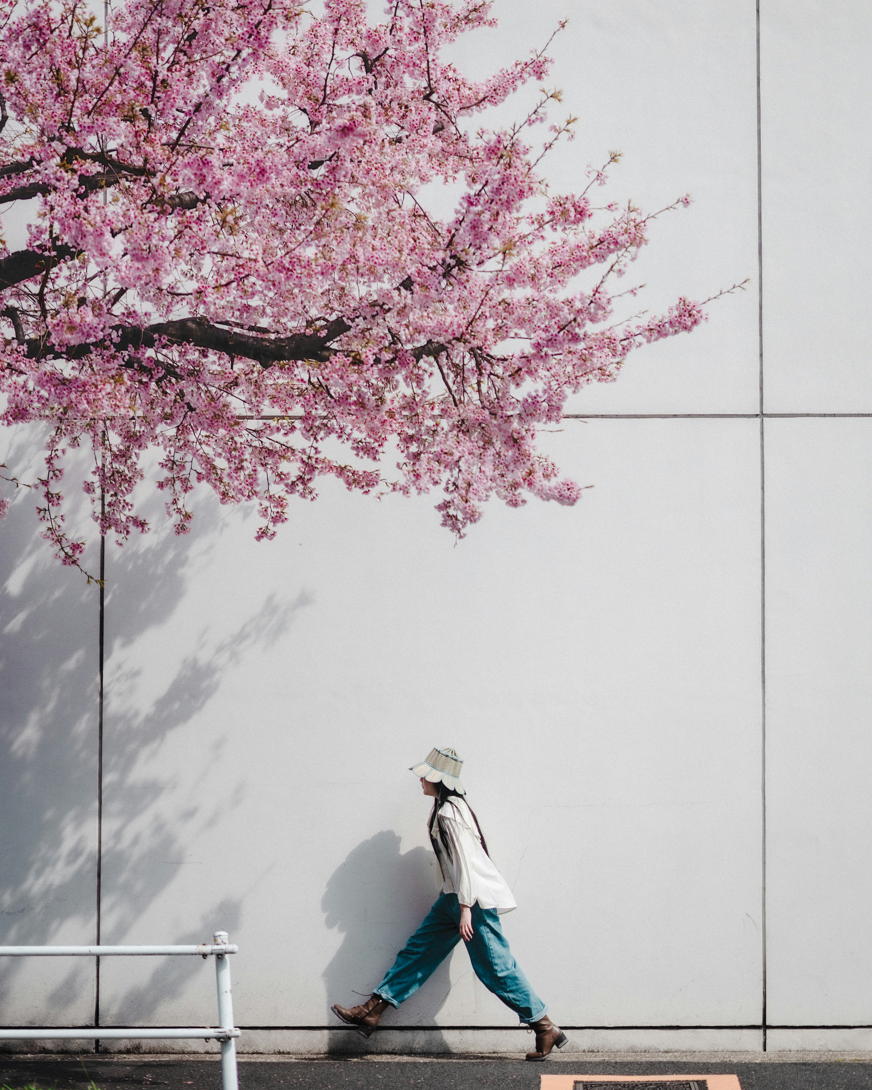 桜の枝と白い壁の前を歩く人